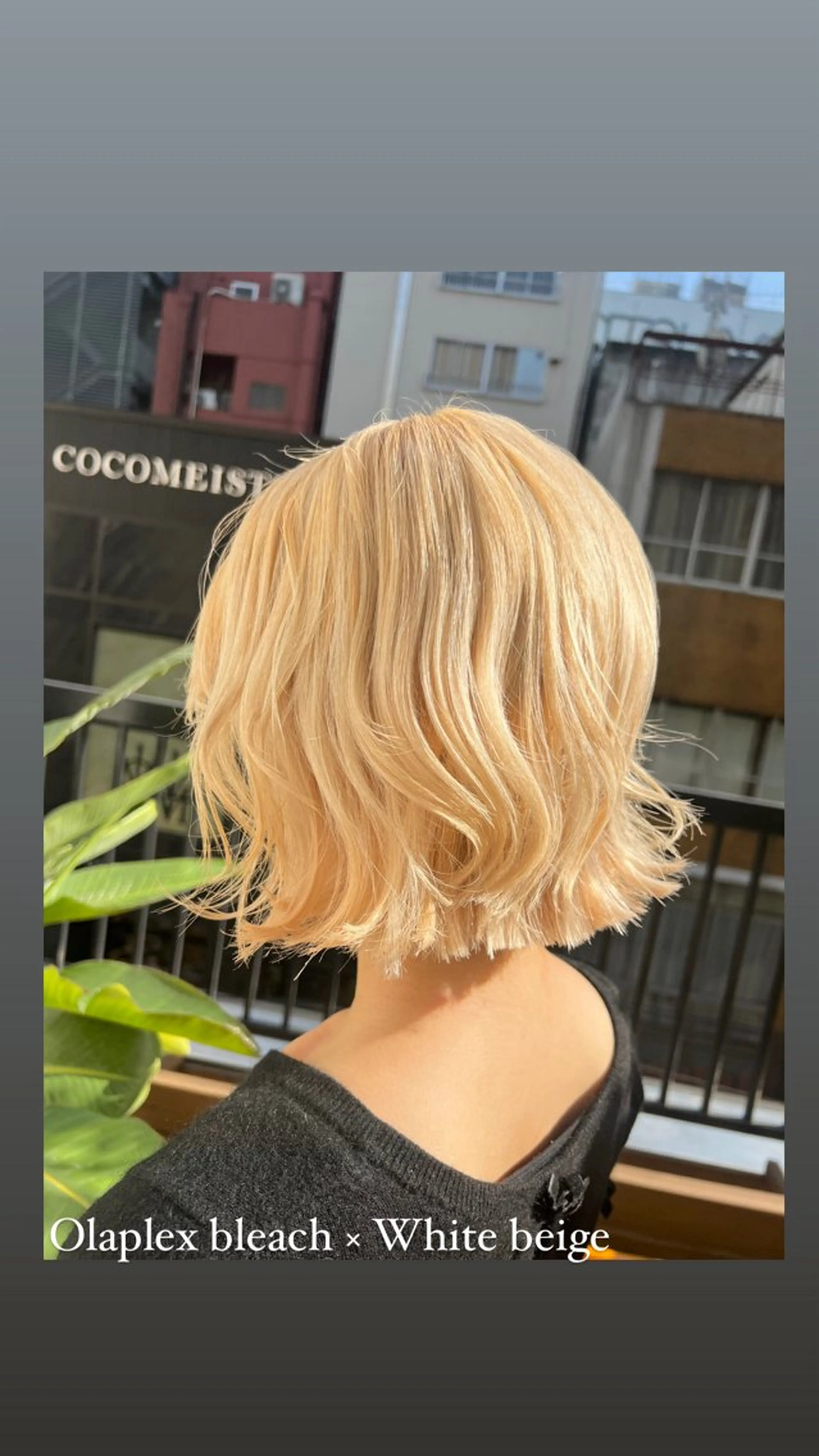 ショート カラー ブリーチ ブロンド ケアブリーチ カット ヘアカラー トリートメント ハイライト/インナー /ブリーチ/レイヤーのヘアスタイル