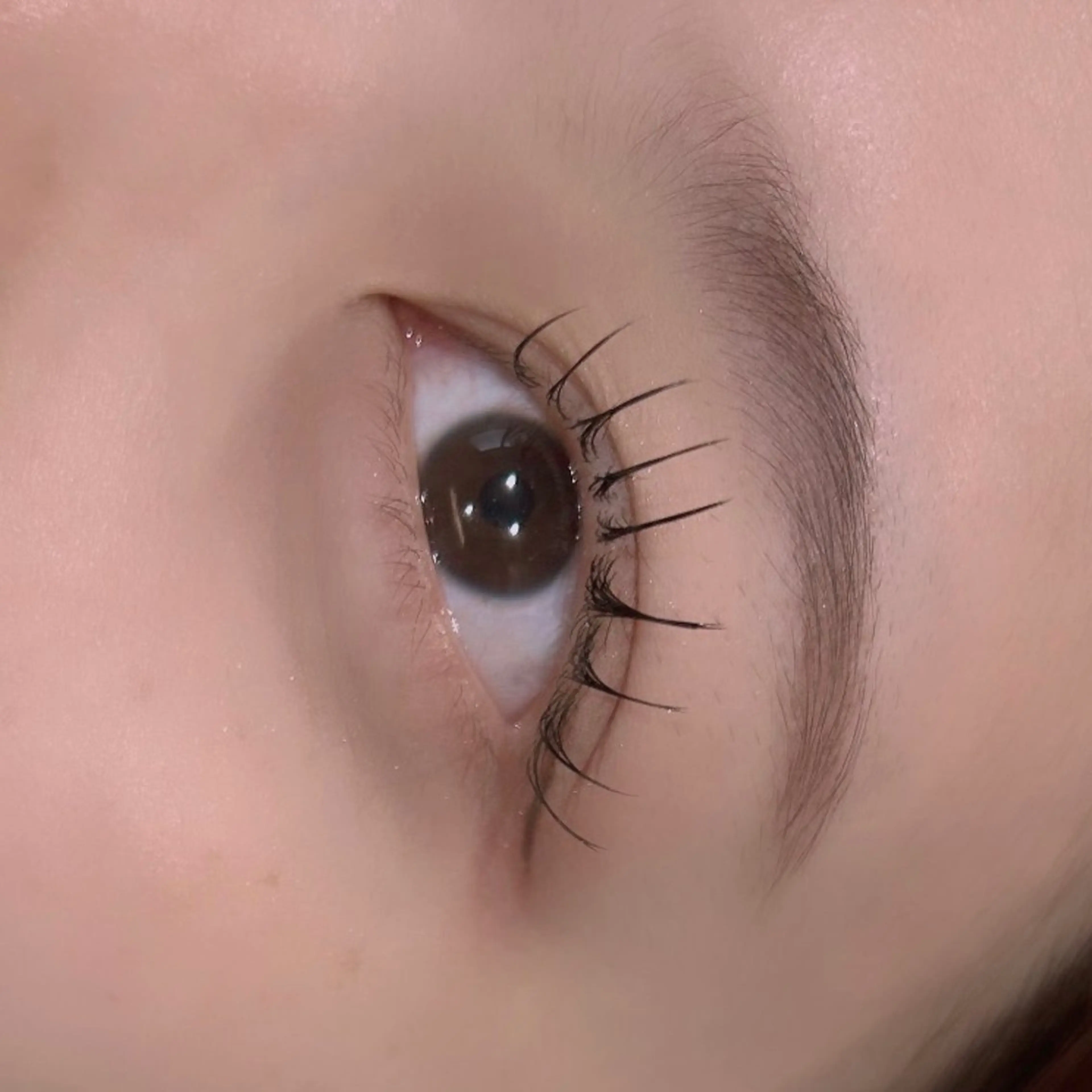 マツエク・マツパ マツエク hair&eye🎀 /momoKaのヘアスタイル