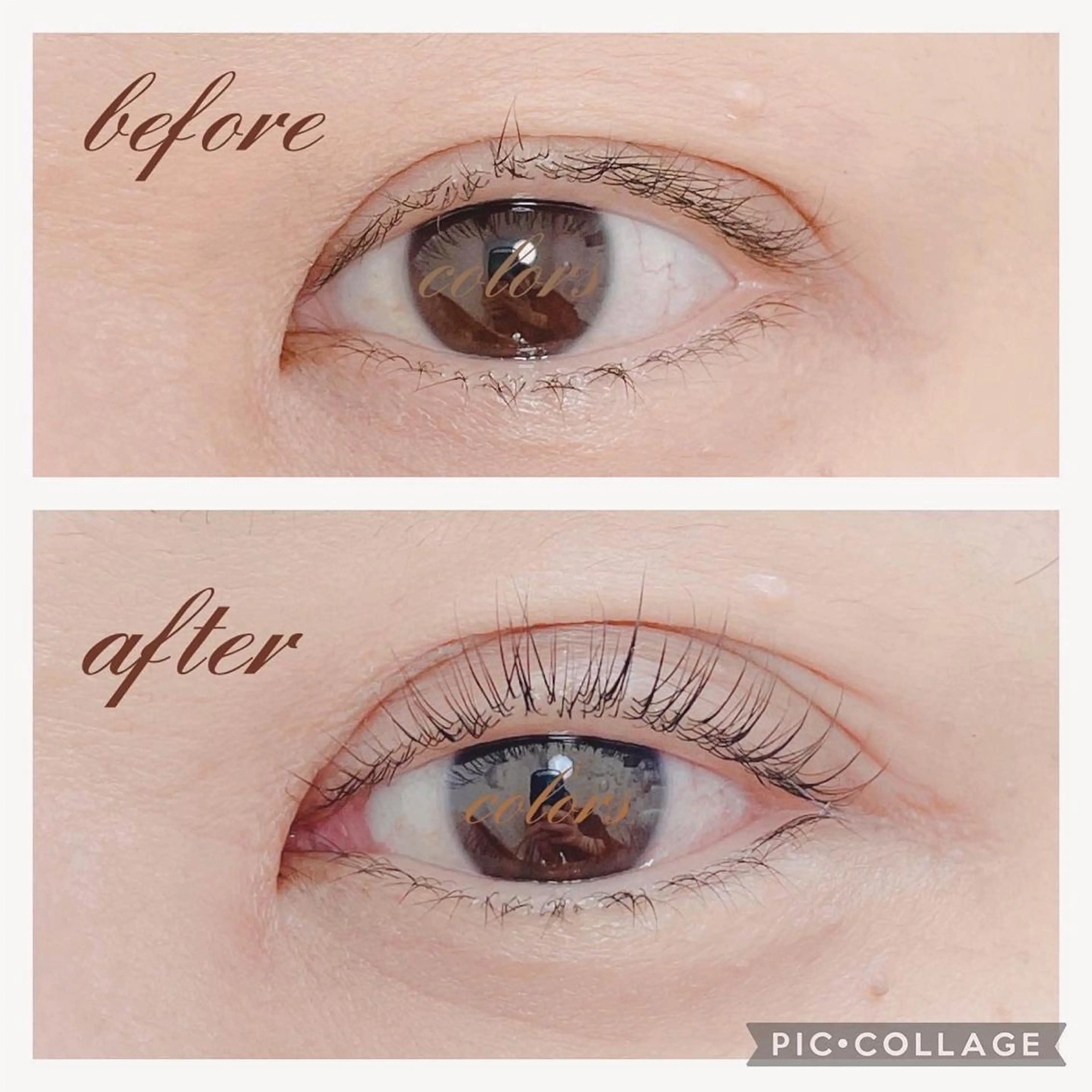 マツエク・マツパ colors💐 《岐阜》のマツエク・マツパデザイン