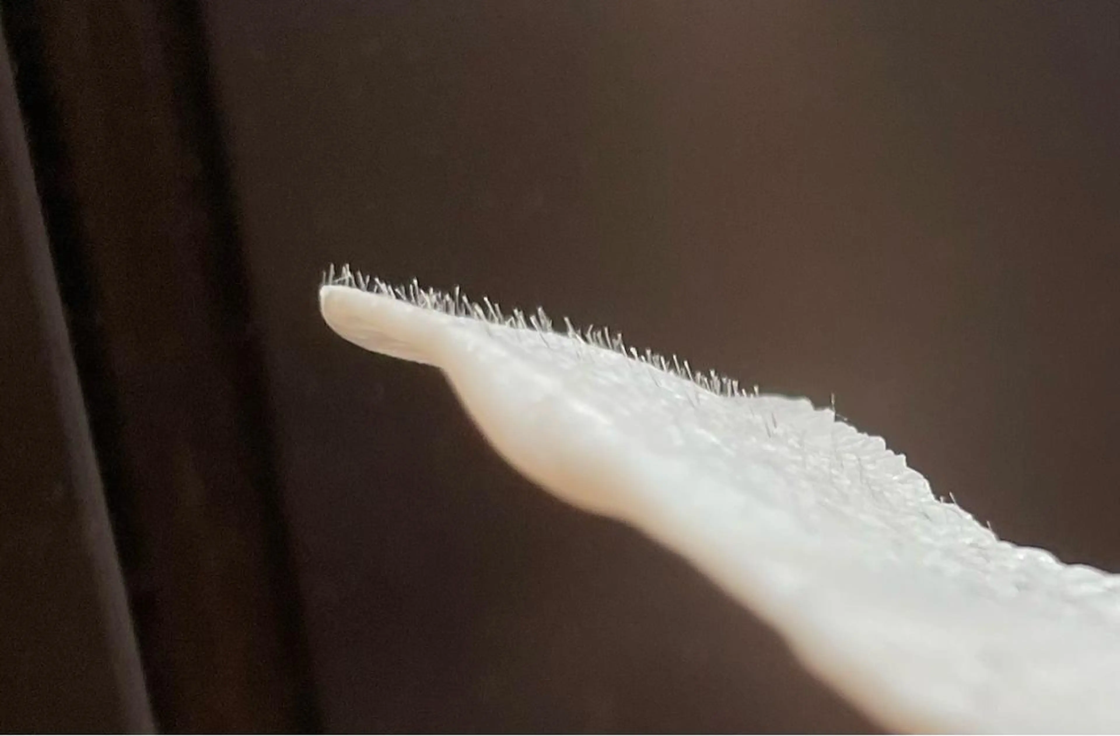 エステ 肌質改善◇結果重視 美麗-MIREI-のエステ・リラクイメージ