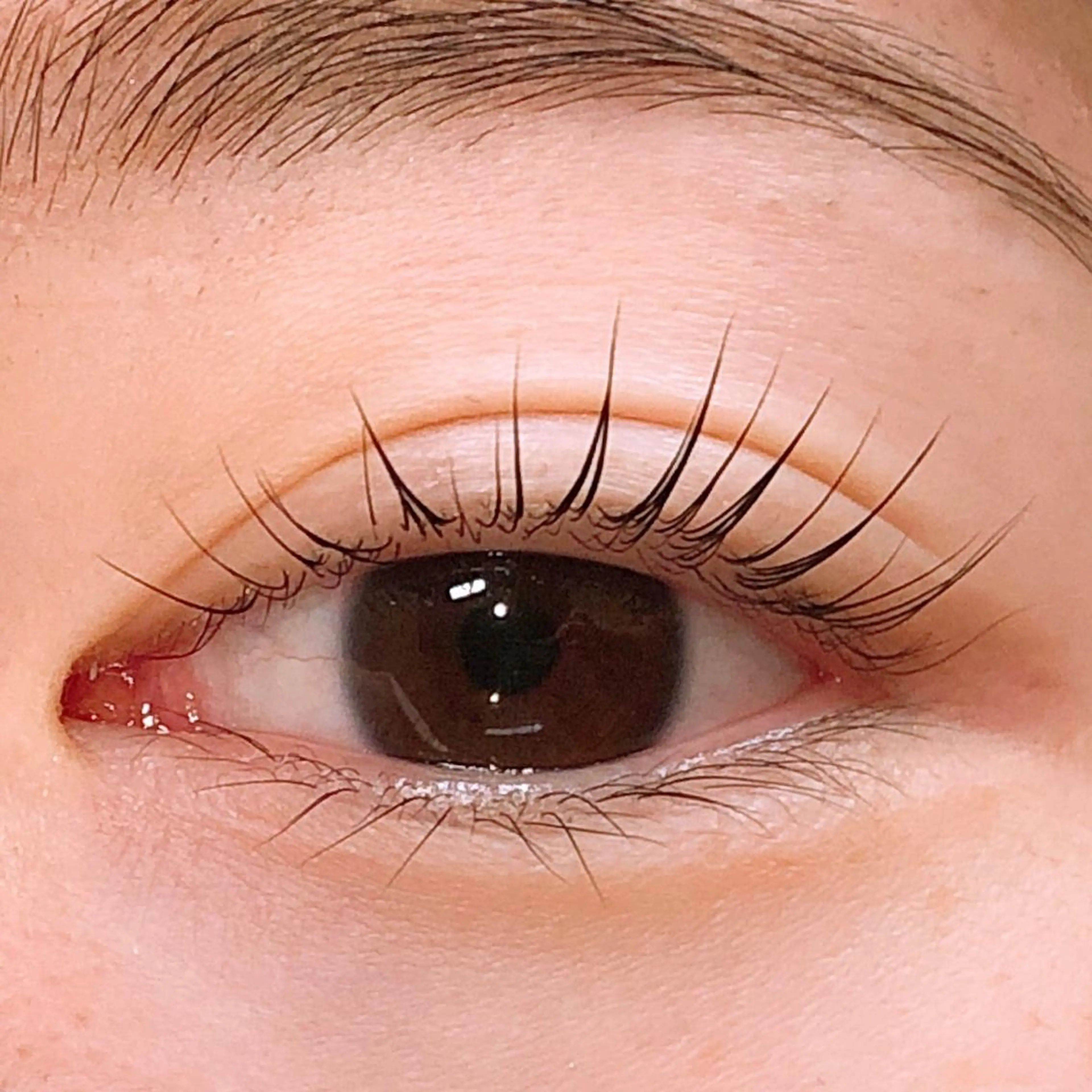 マツエク・マツパ mahalo 鈴木のマツエク・マツパデザイン