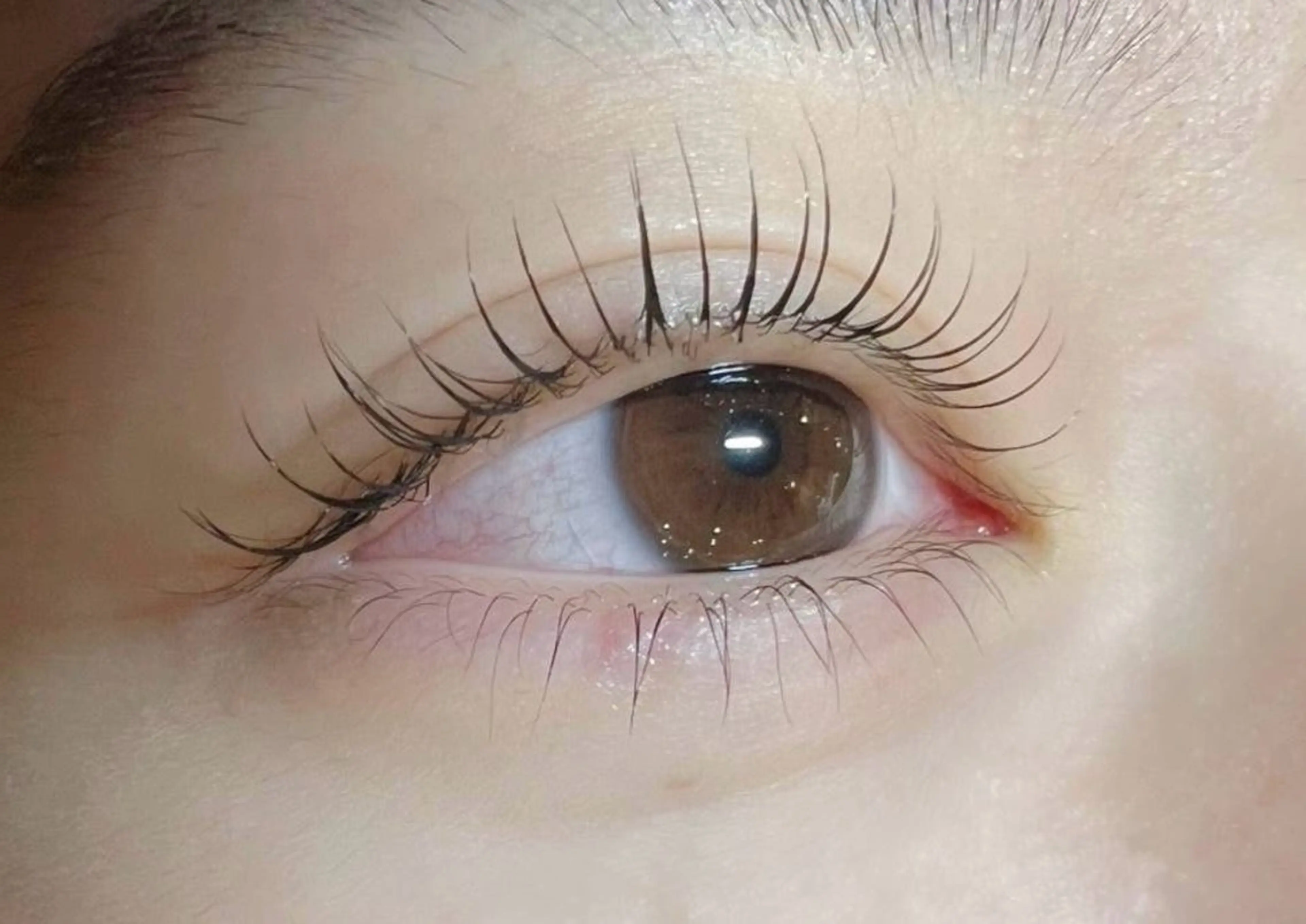 マツエク・マツパ 一重×まつ毛パーマ ステラマリス 〜KIMURA〜のマツエク・マツパデザイン