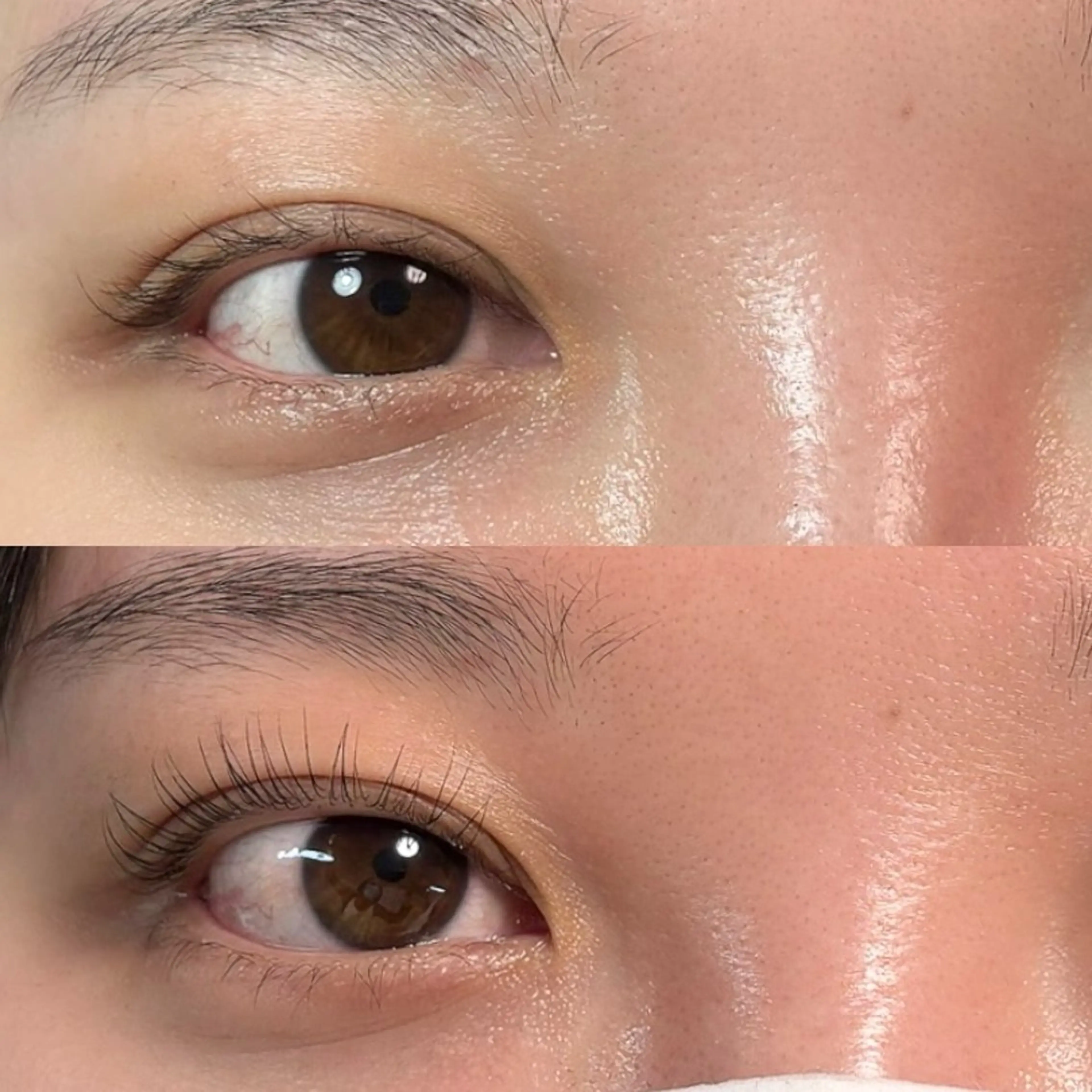 おためしクーポン　マスカラパーマ（まつ毛パーマ＋まつげティント）の写真