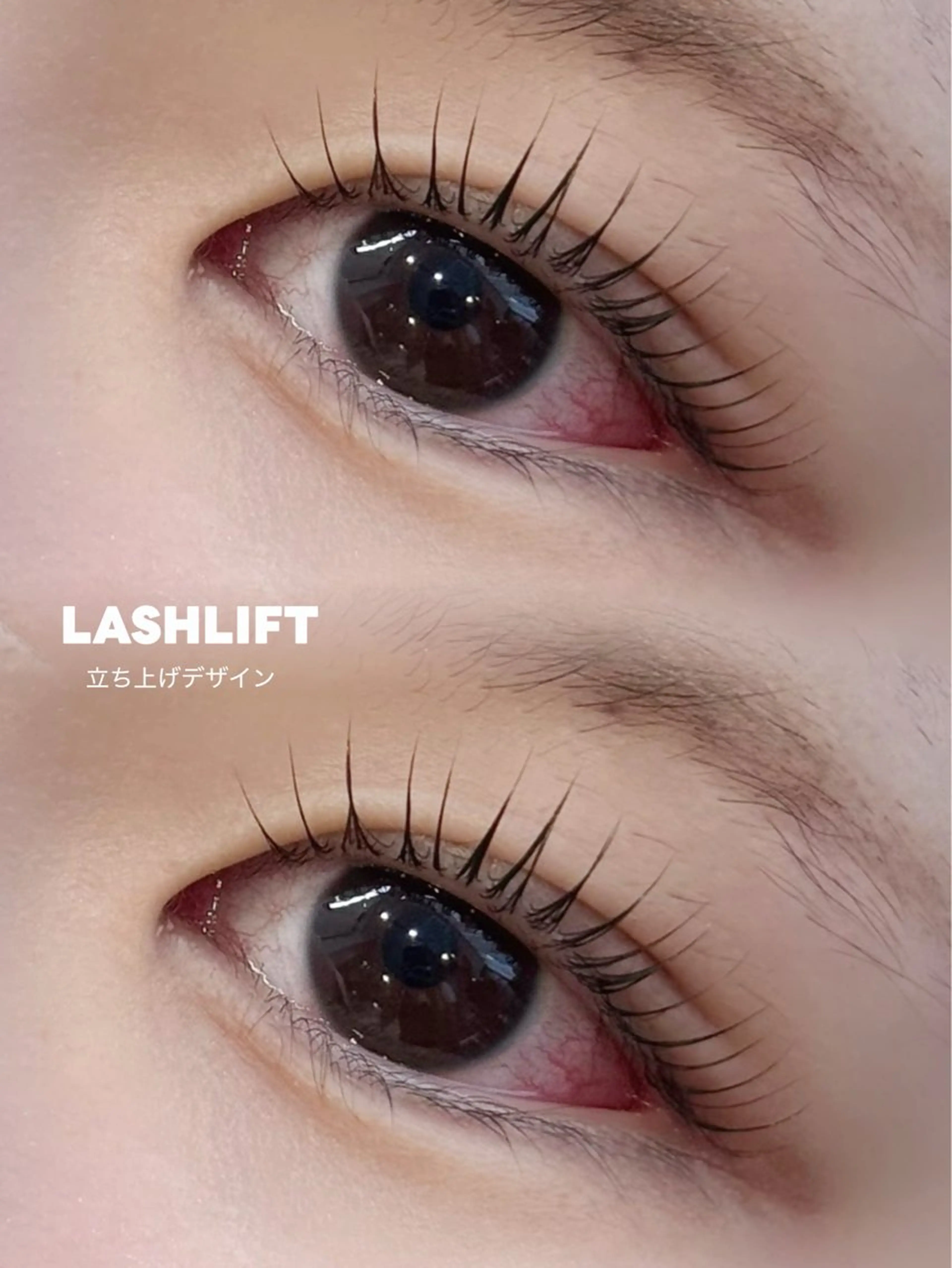 ラッシュリフト➕アイシャンプー➕仕上げコーティング付き🌻🤍の写真