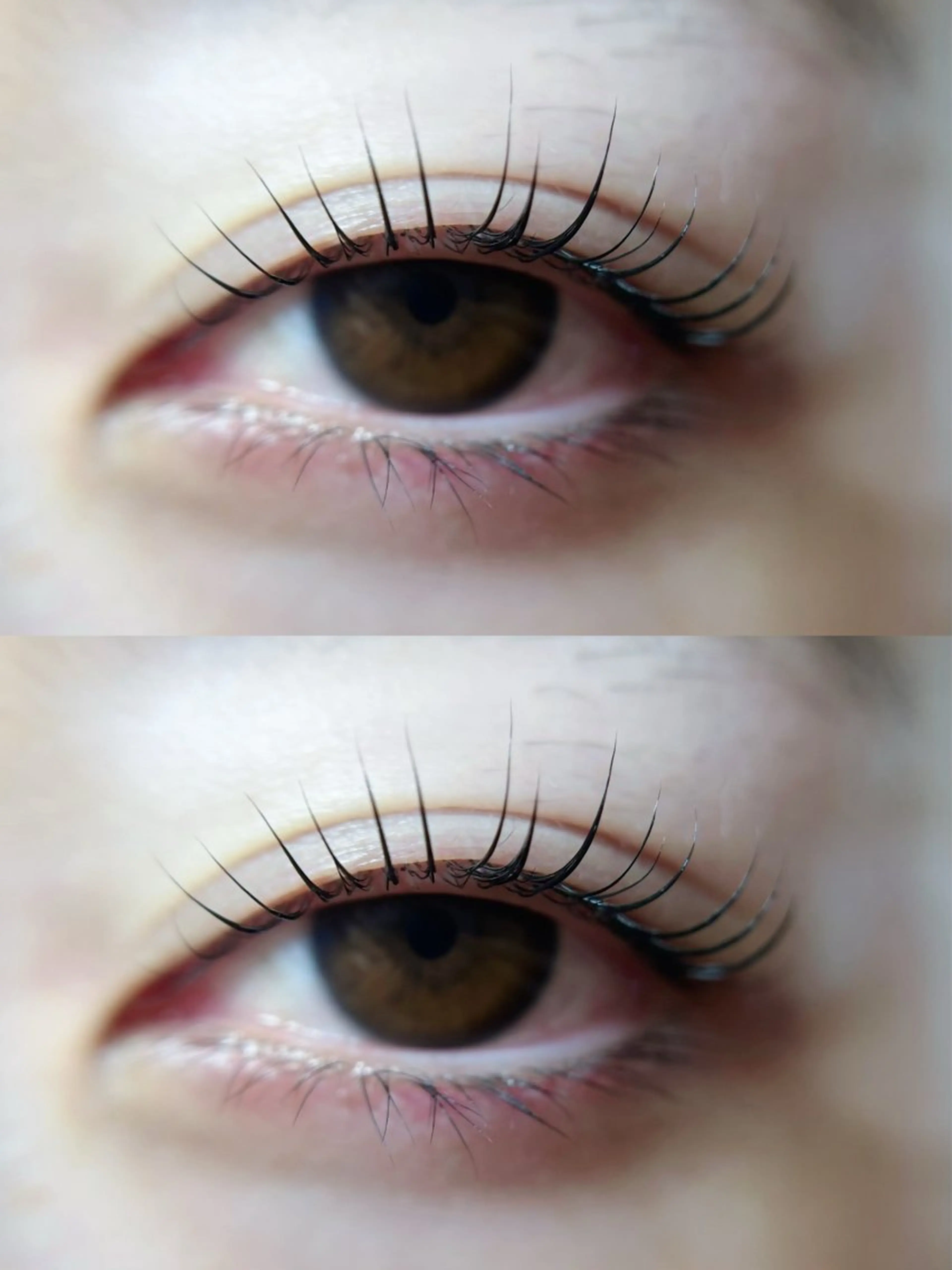 マツエク・マツパ ワンホンデザイン 専門店 FOIのマツエク・マツパデザイン