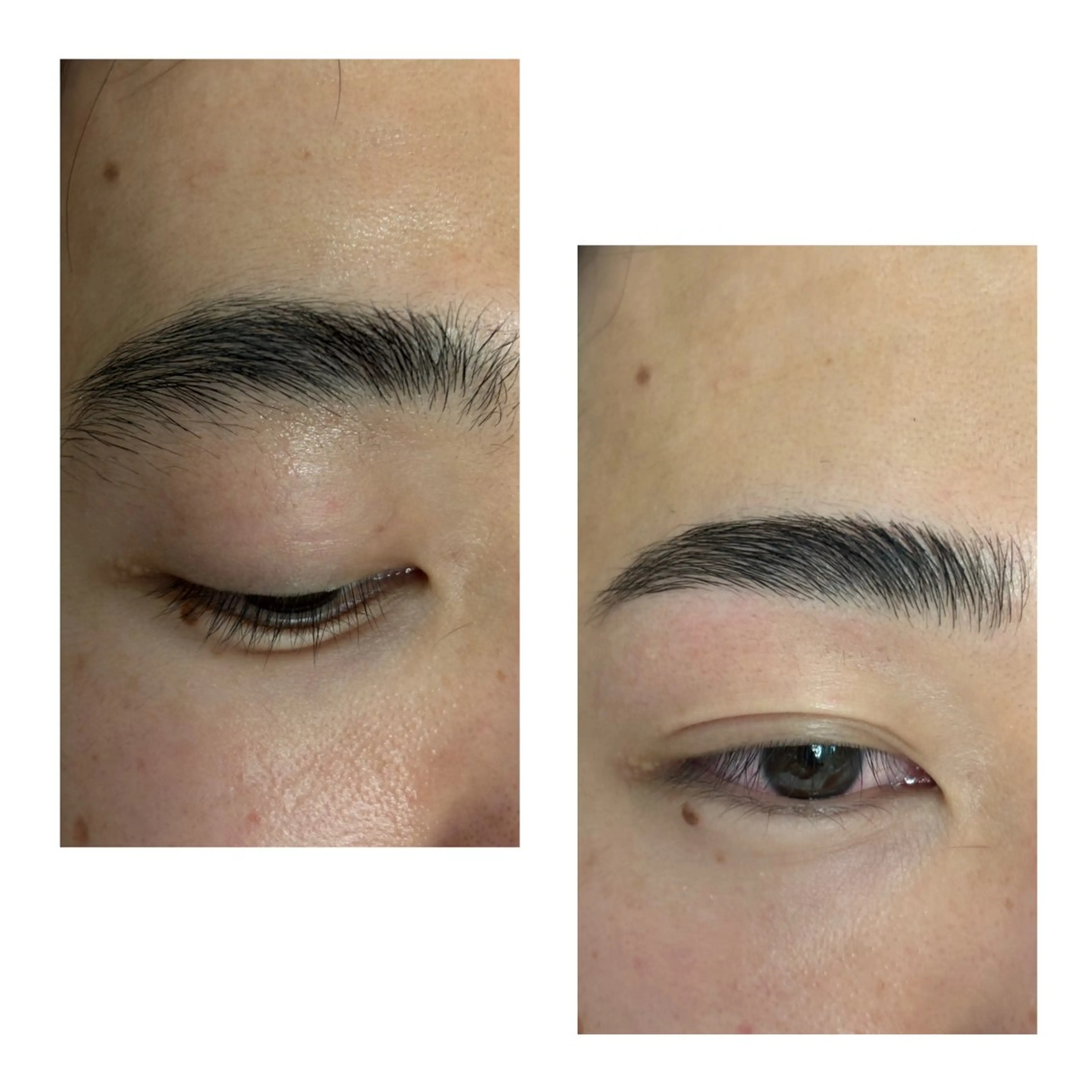 新規学生限定 HBL ミニモ学割の写真