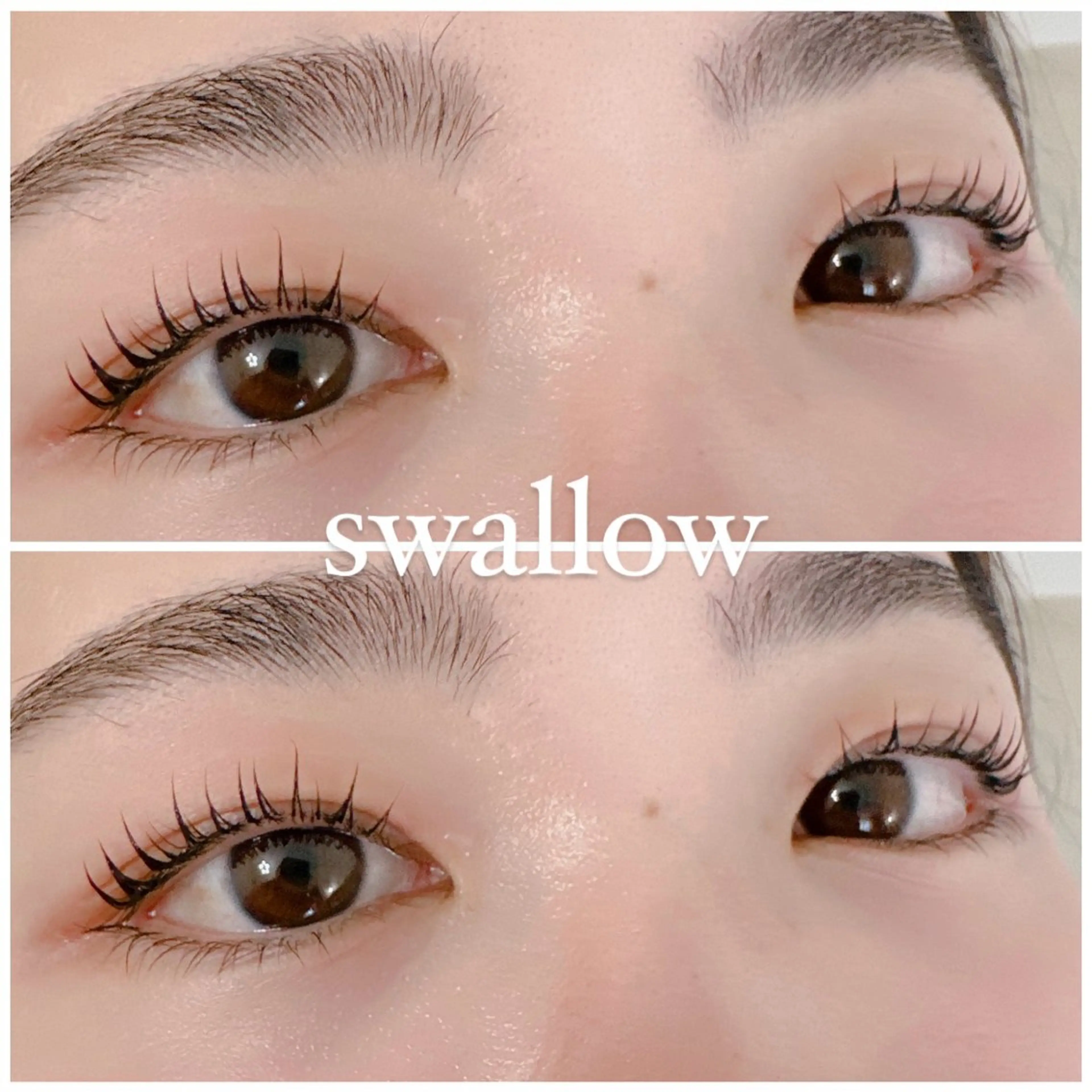 マツエク・マツパ Dカール 一重×まつ毛パーマ マツパ swallow 奈良西大寺店のマツエク・マツパデザイン