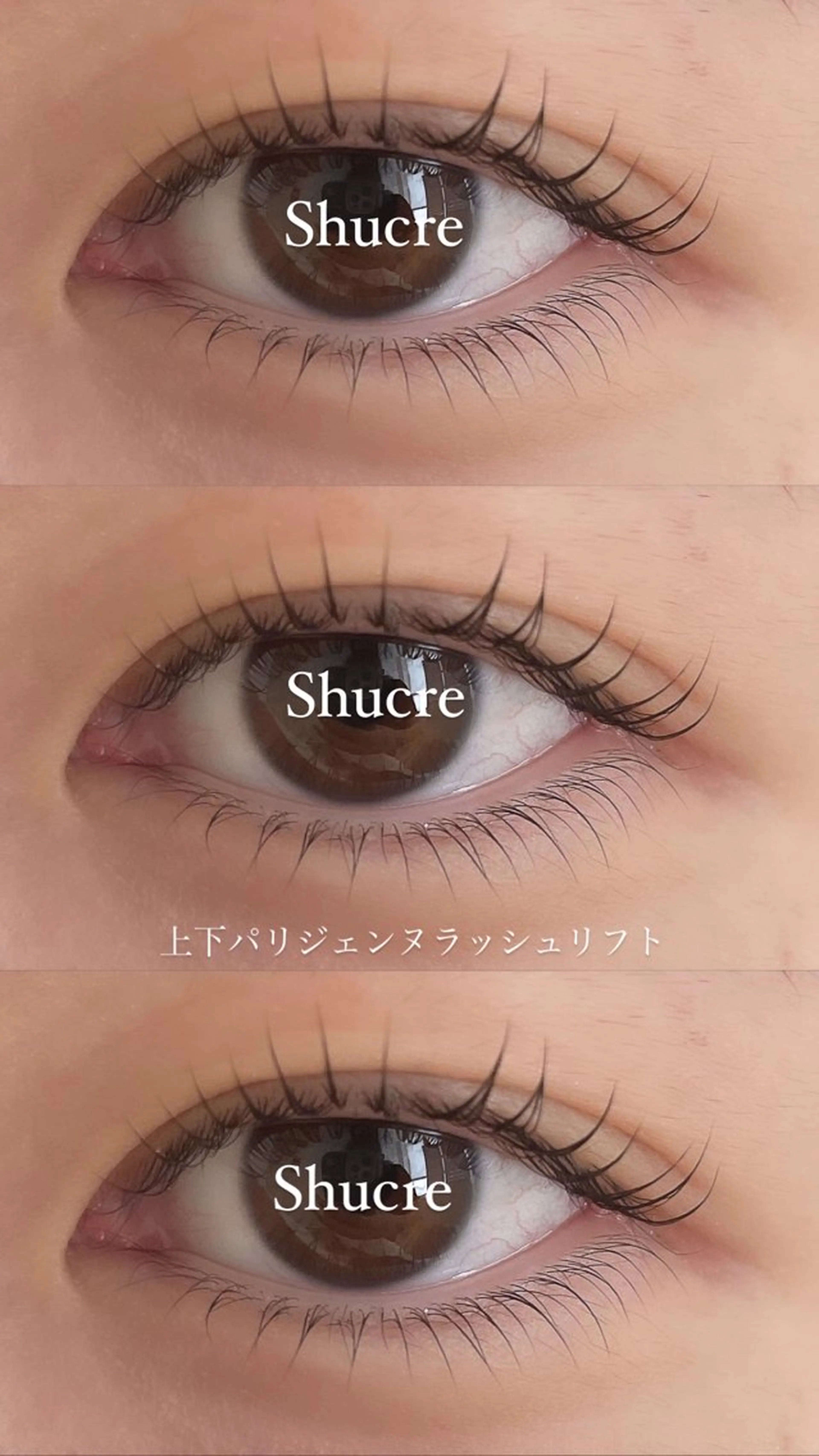 上下パリジェンヌラッシュリフト（まつ毛パーマ）の写真