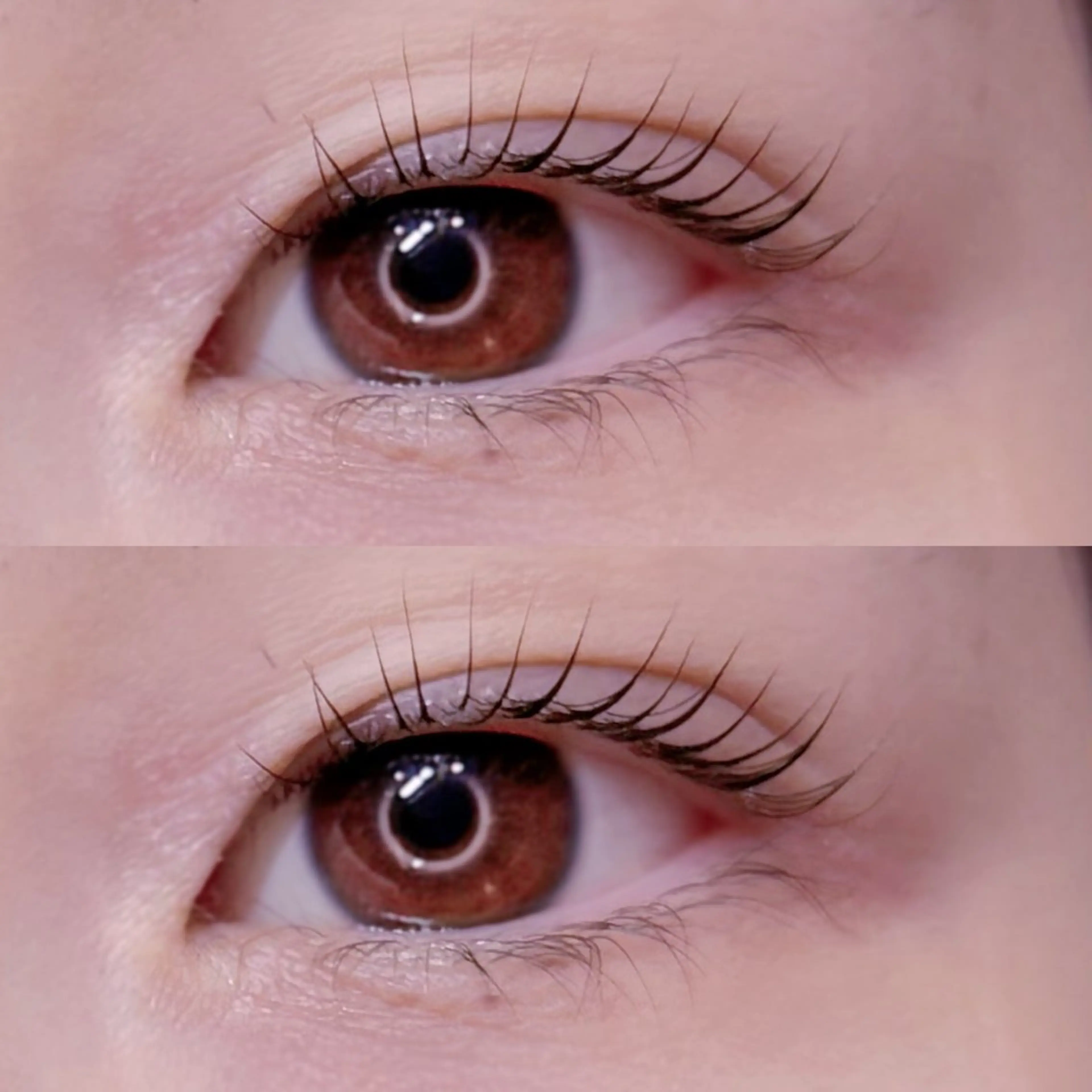 マツエク・マツパ Crevia Chieのマツエク・マツパデザイン