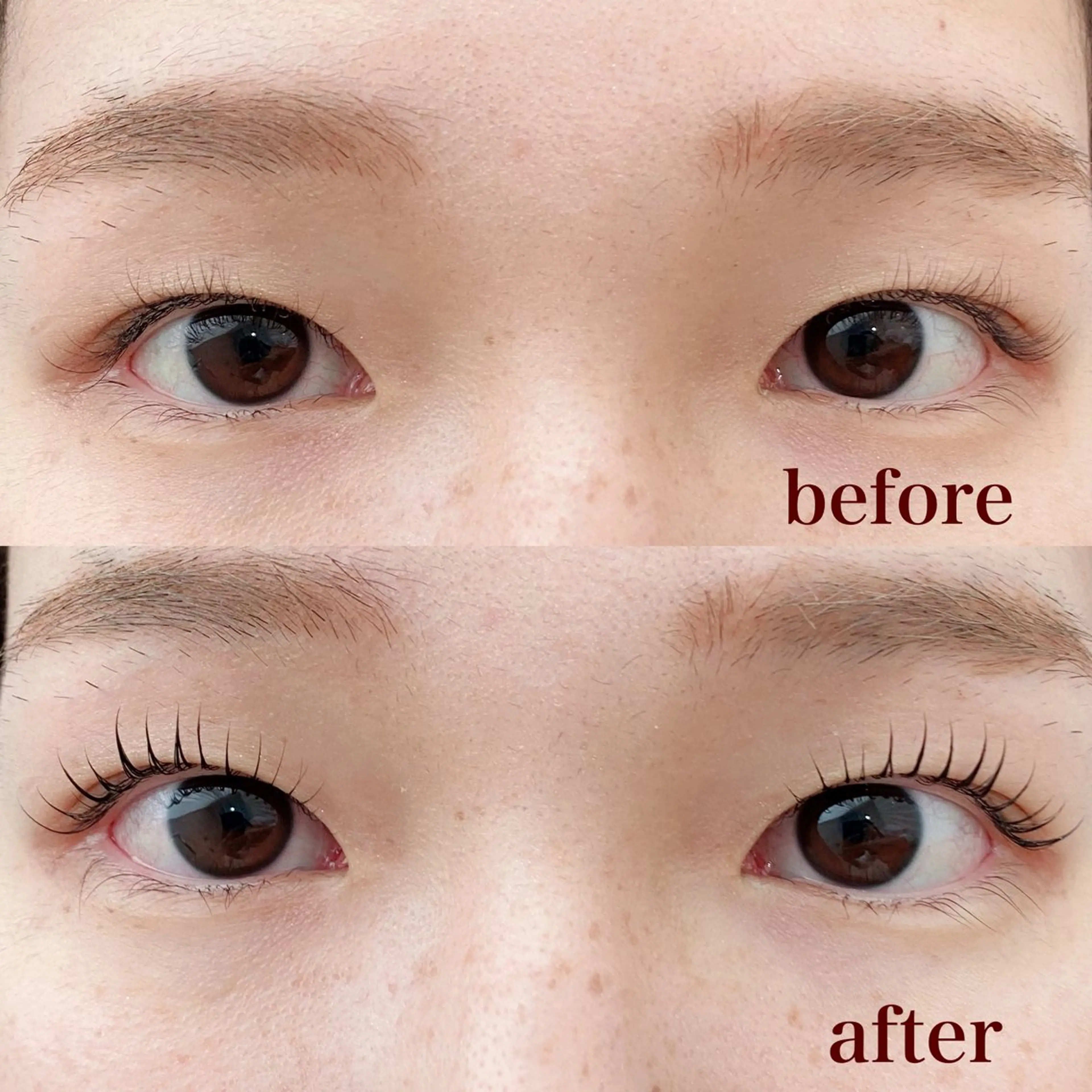 マツエク・マツパ まつげパーマ マツパ 🫧SATOMI 草加駅5分メンズ眉毛の眉毛・アイブロウイメージ