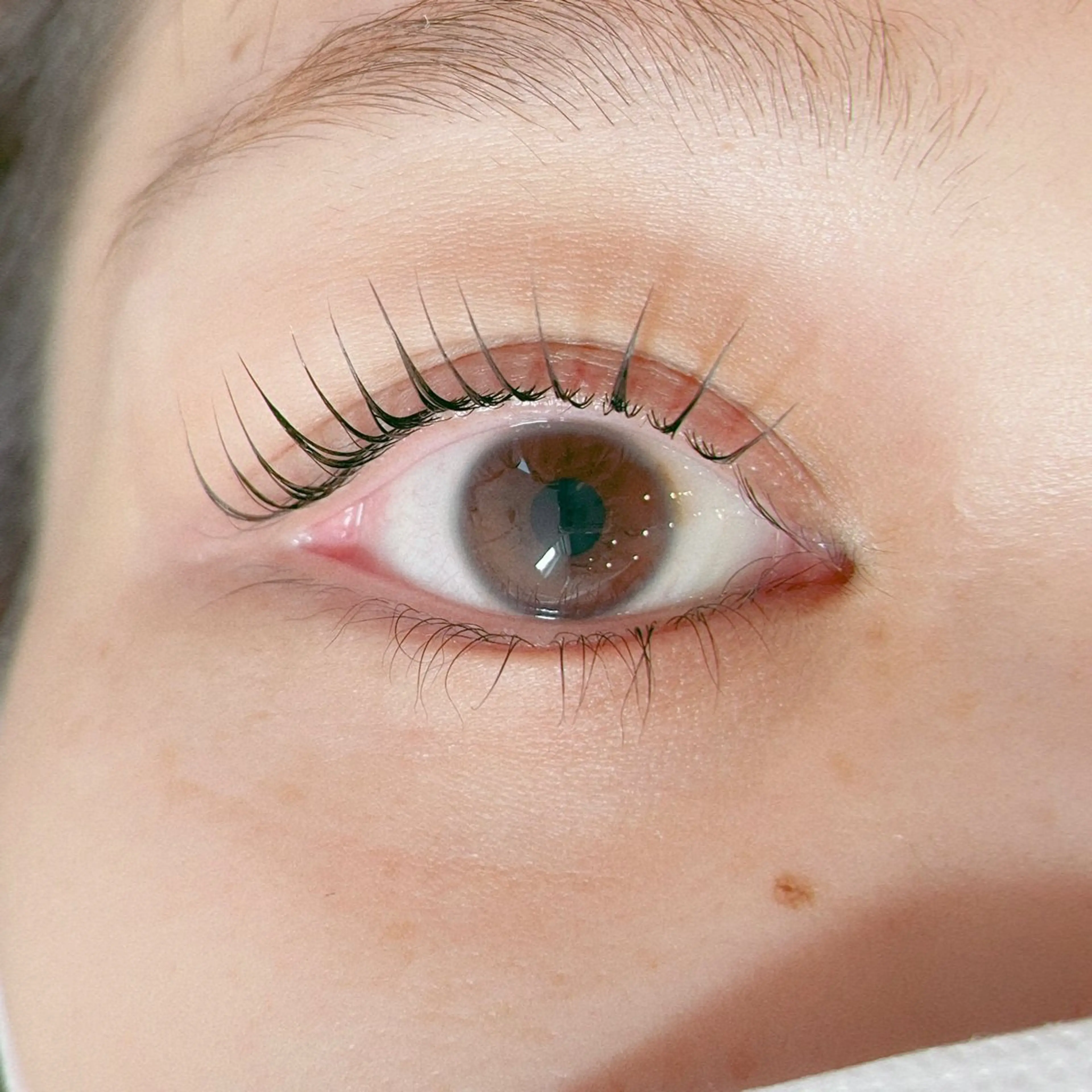 マツエク・マツパ パリジェンヌラッシュリフト マツパ Amour Angeのマツエク・マツパデザイン