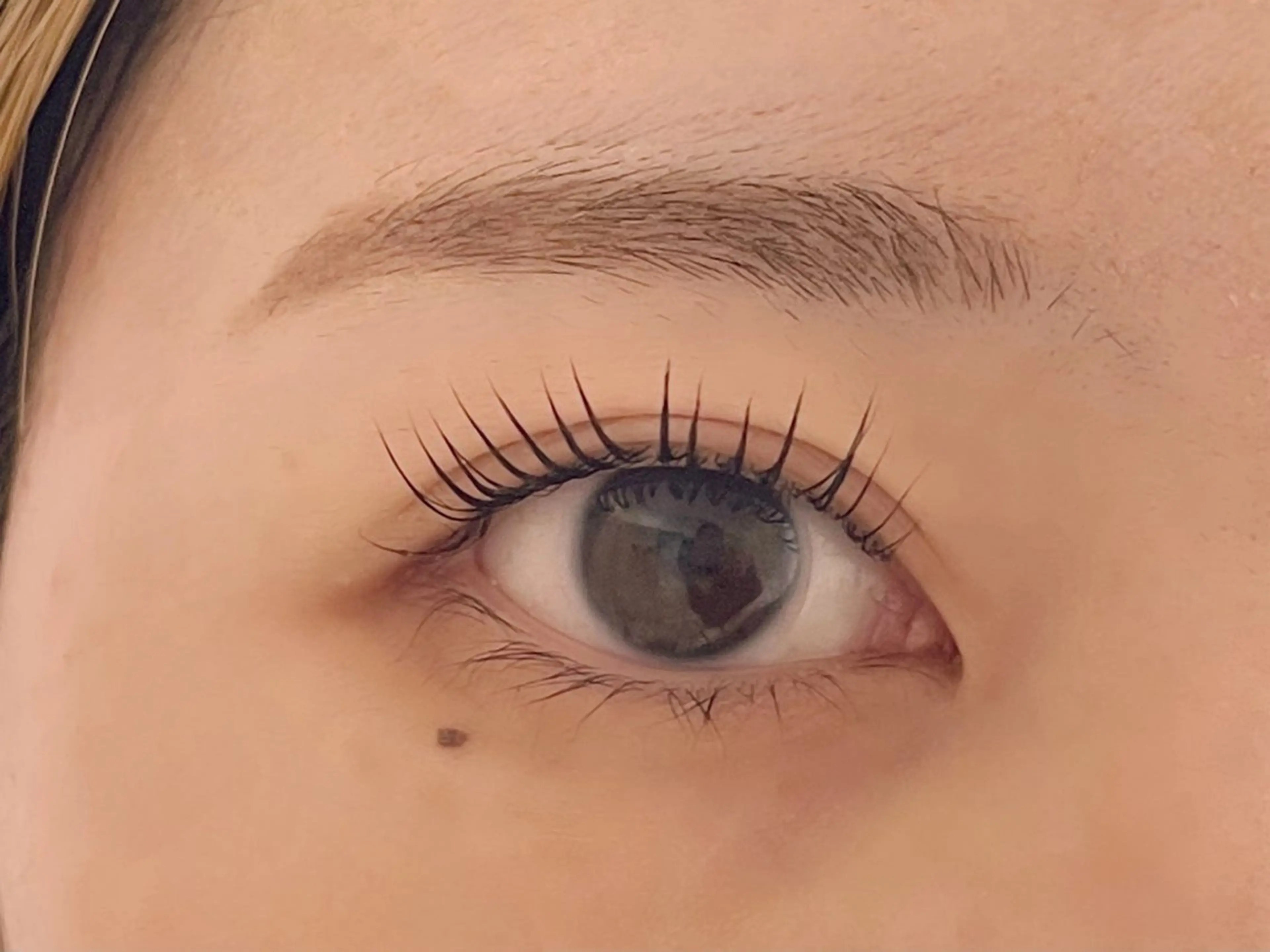 パーマ マツパ Arva 【Leia】のマツエク・マツパデザイン