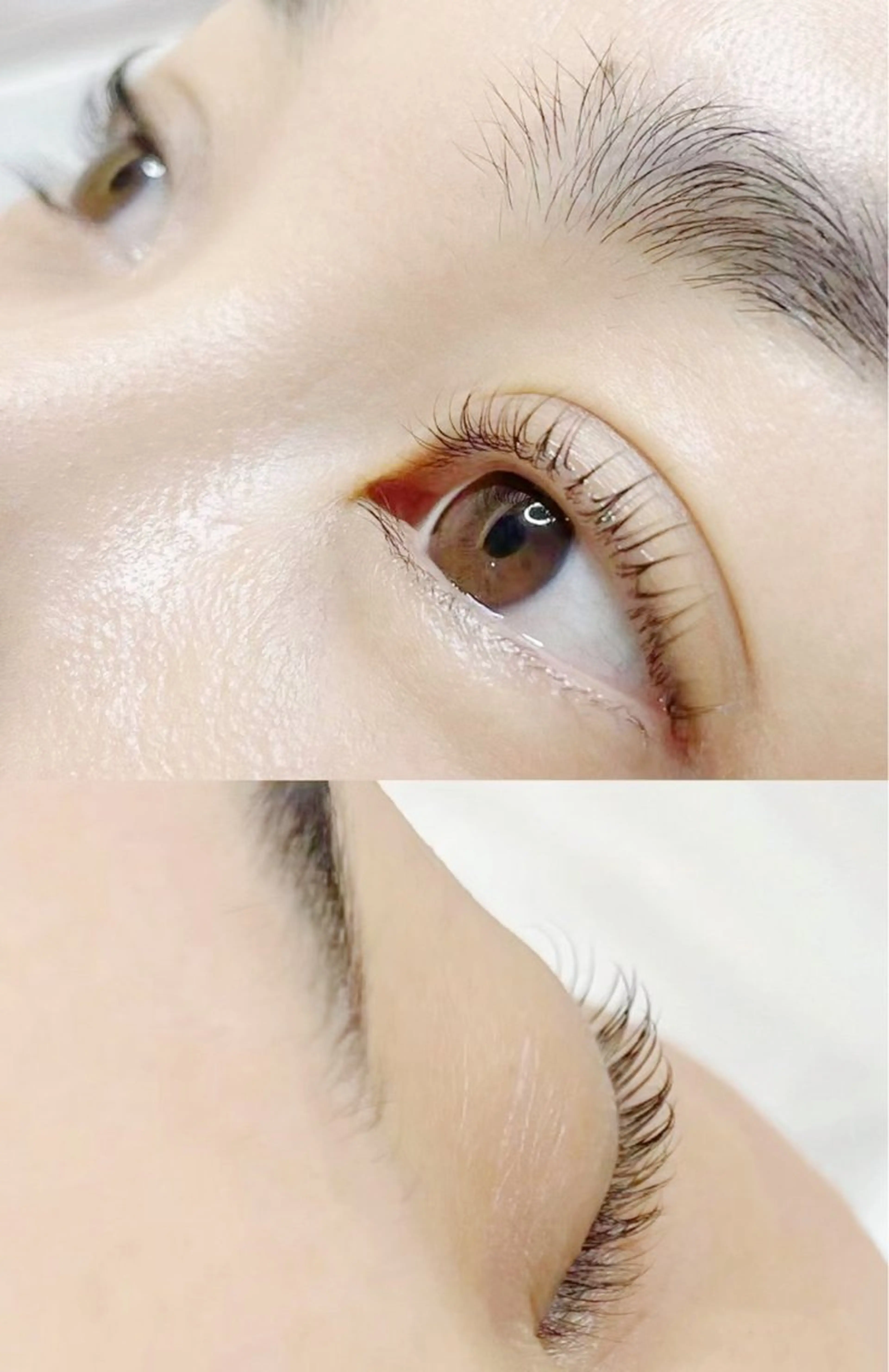 マツエク・マツパ BBC ビービーシーのマツエク・マツパデザイン