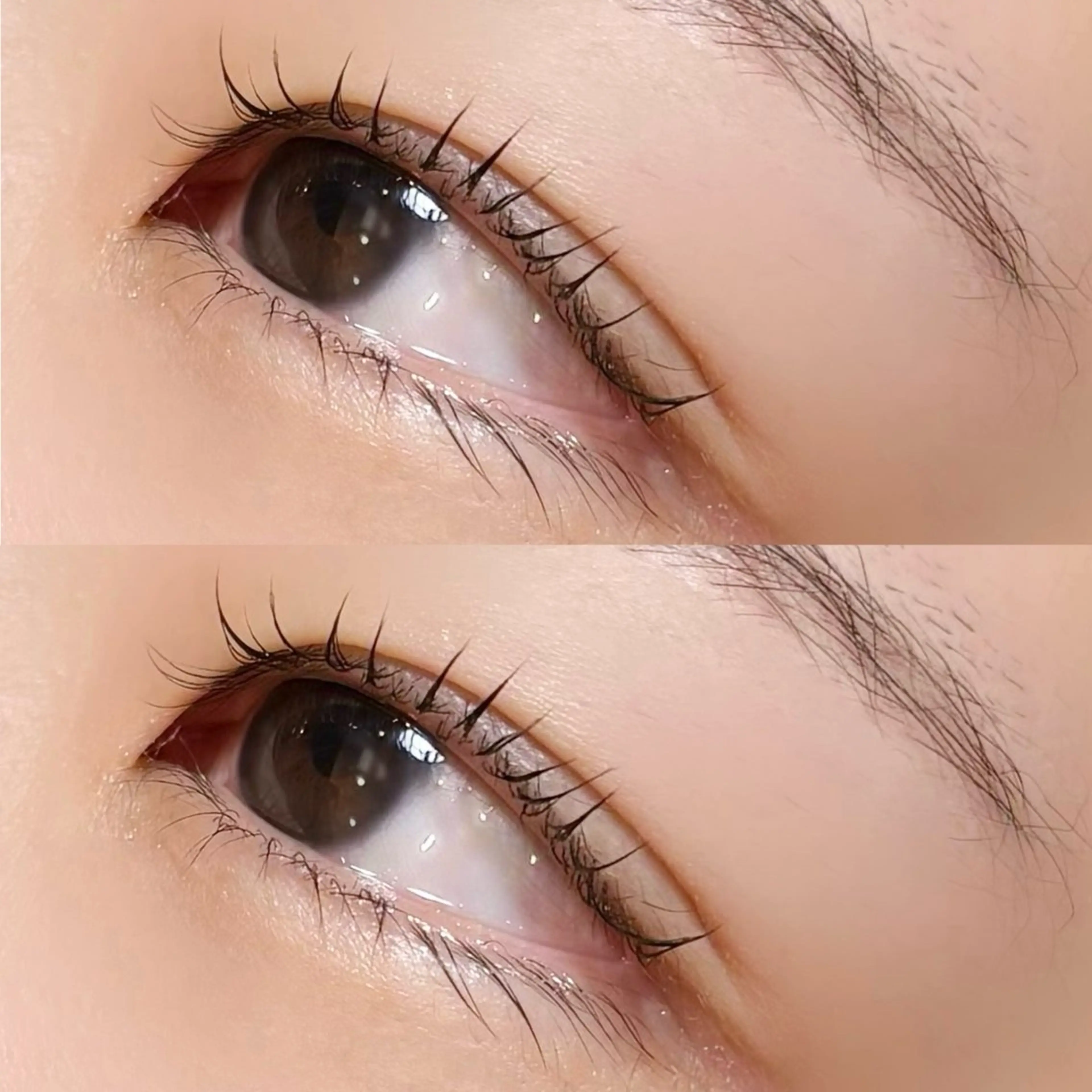 マツエク・マツパ meguru／マツパ ／マツエク／束感のマツエク・マツパデザイン