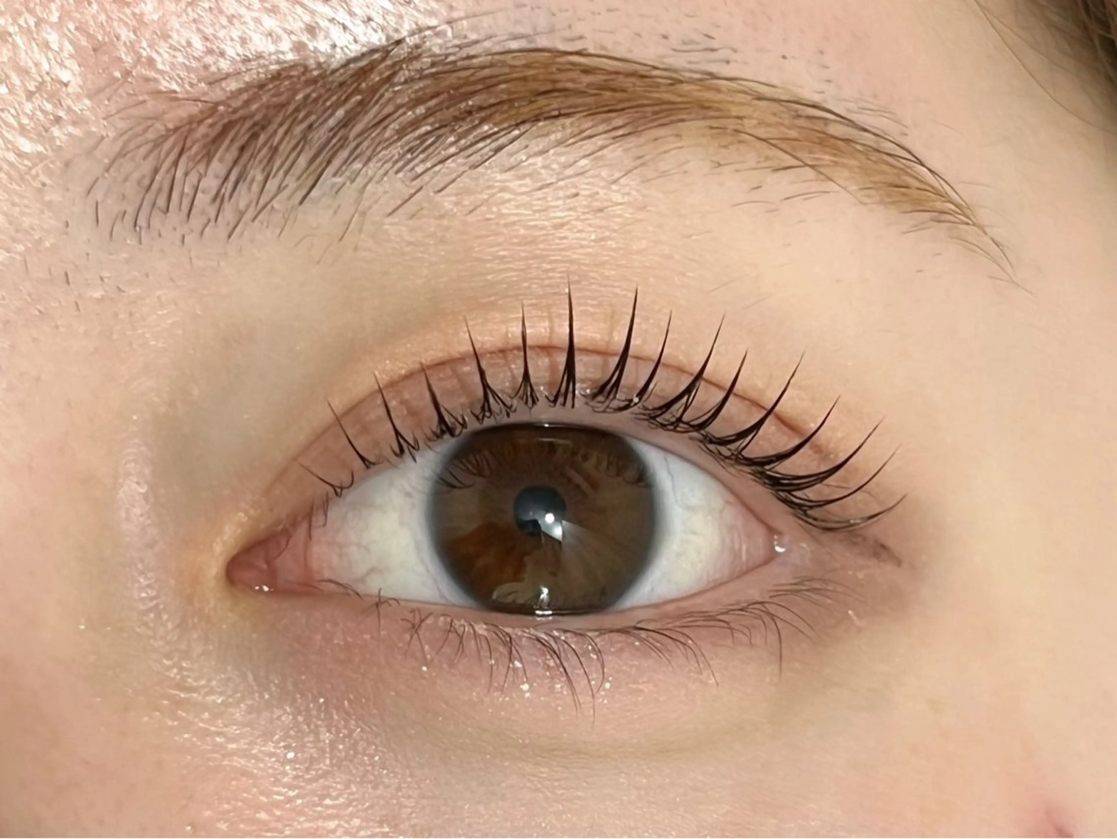 まつ毛パーマ立ち上げデザイン🎀の写真