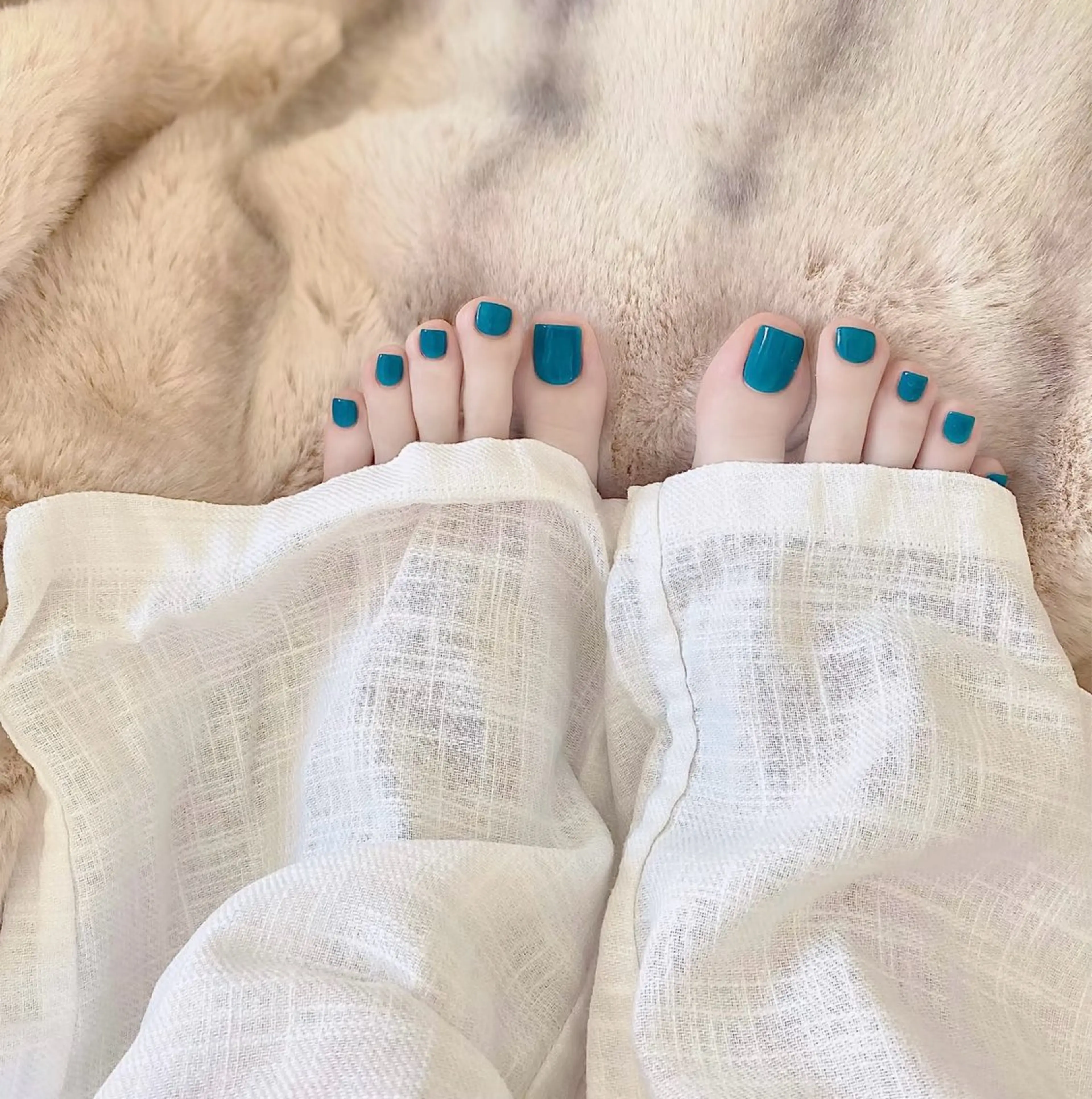 フットワンカラー オフありの写真