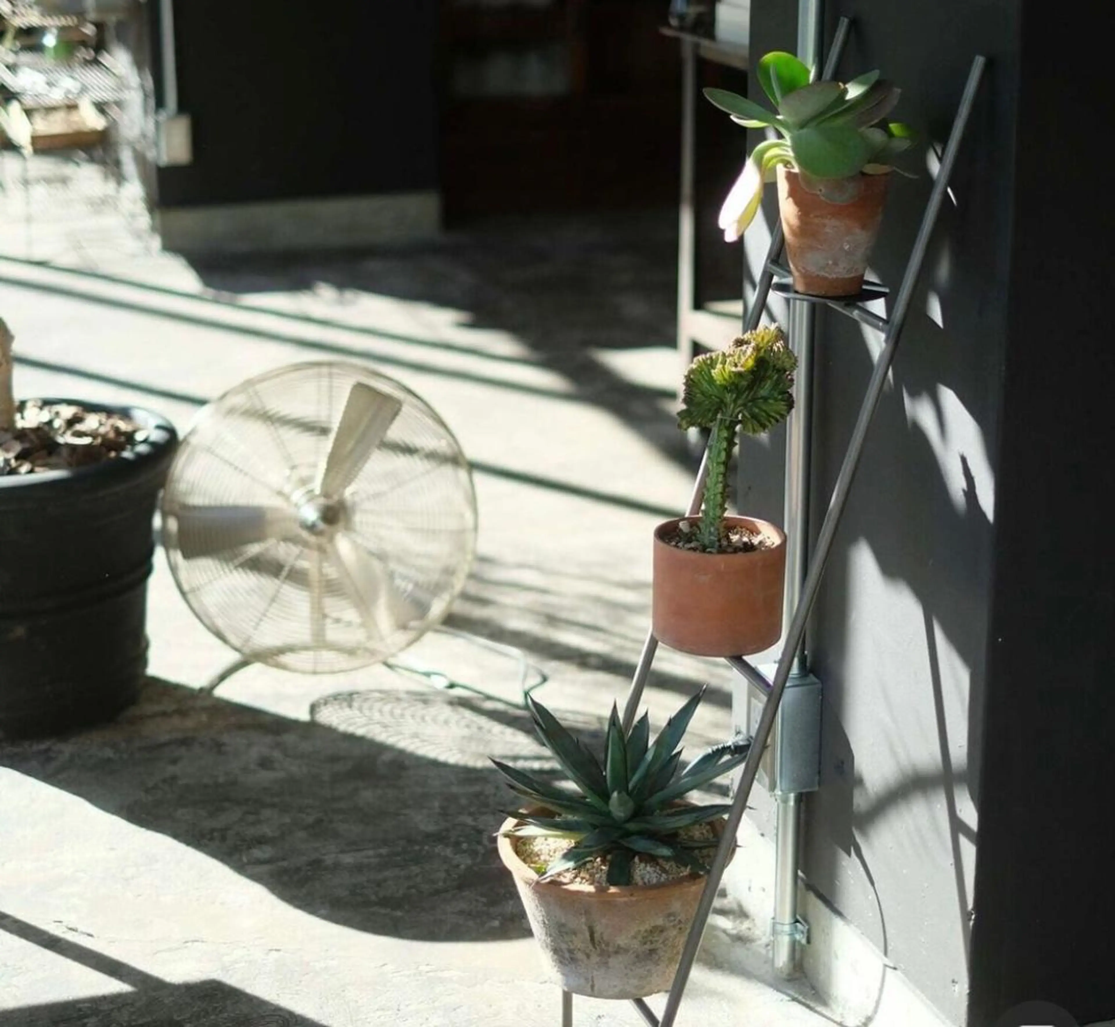 ネイル COELm🌙 /ネイル着付けのネイルデザイン