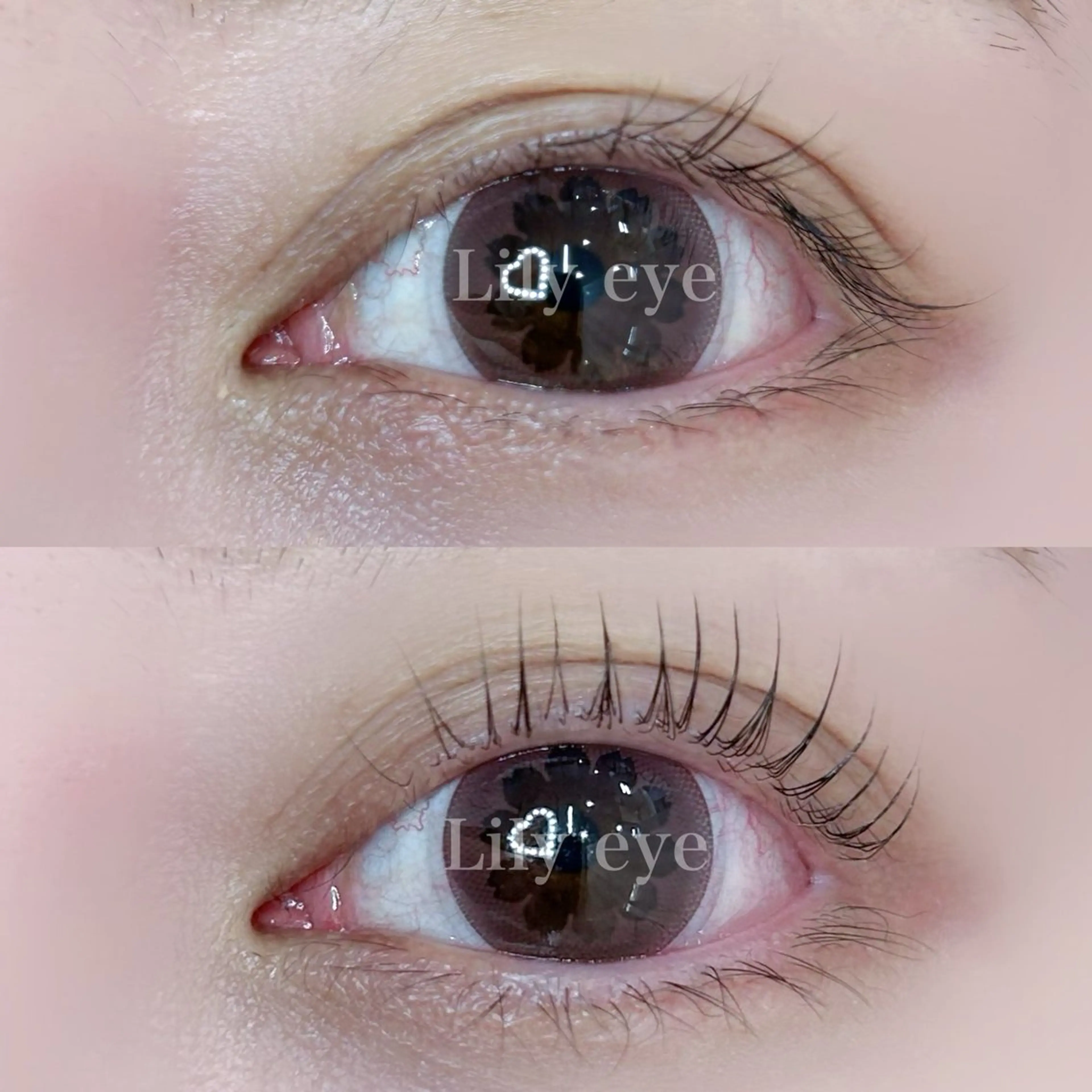 マツエク・マツパ まつ毛専門店 Lily eyeのマツエク・マツパデザイン