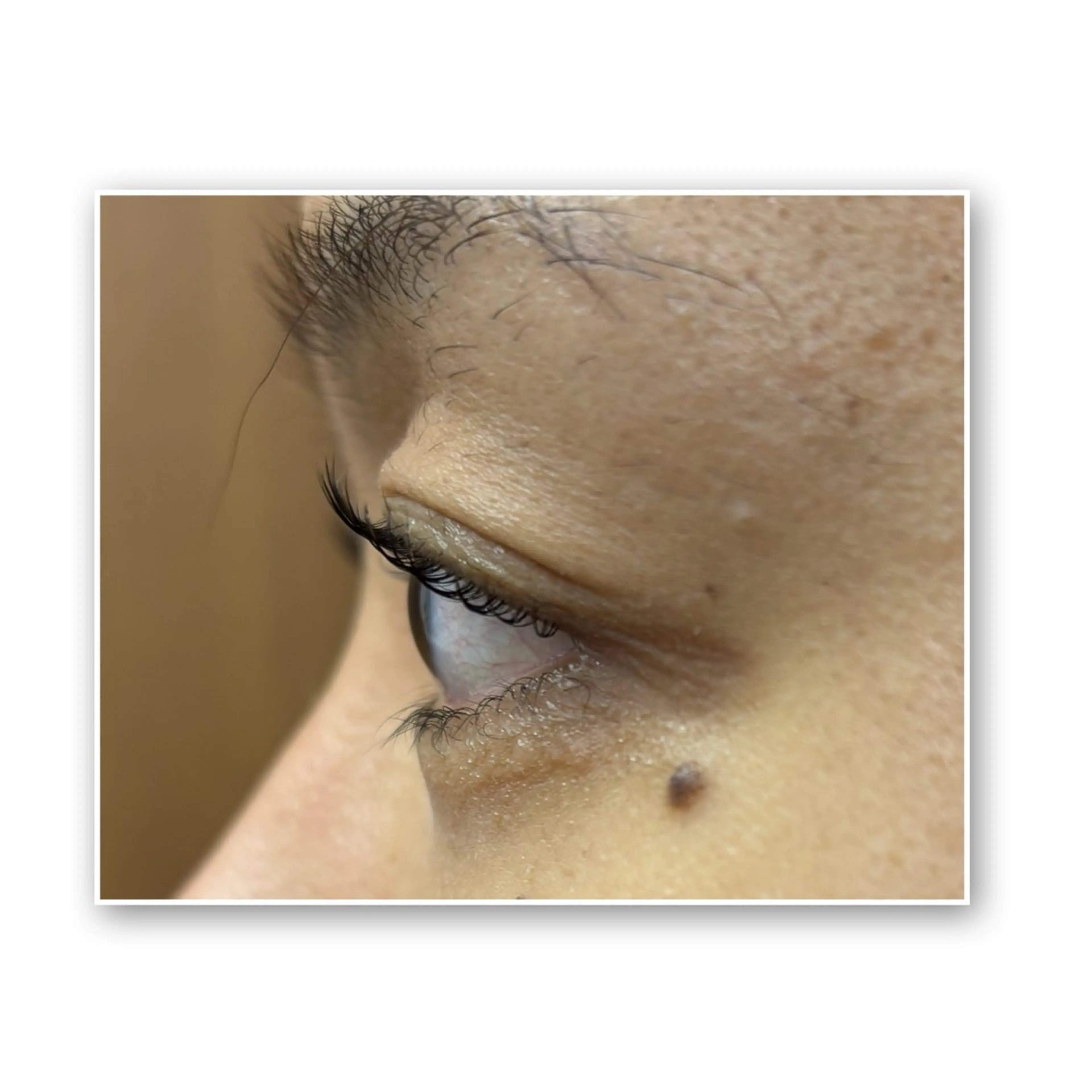 🌷ラッシュリフト(まつ毛パーマ)🌷⚠️補足説明お読みください⚠️の写真