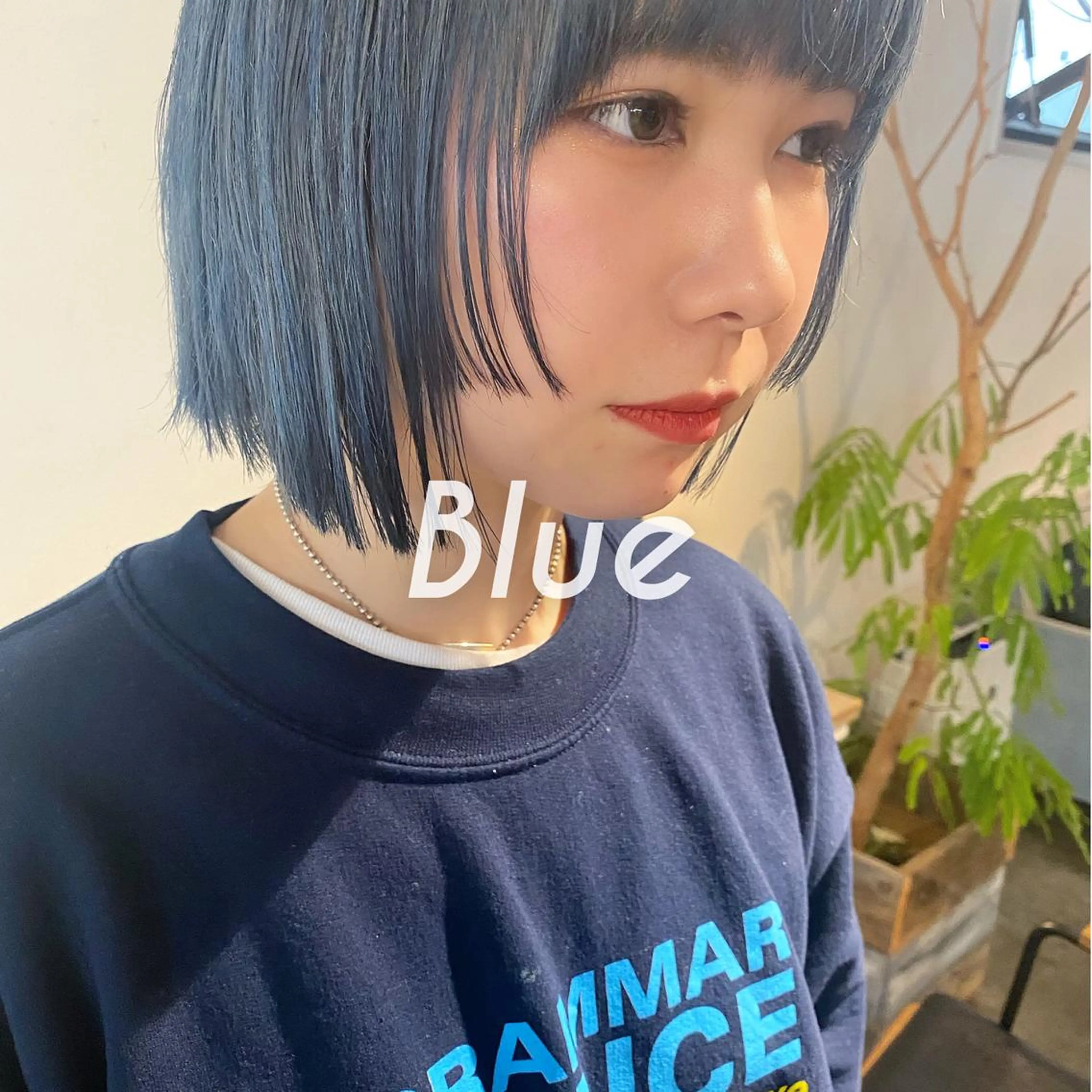 ミディアム カラー ヘアアレンジ ブルーカラー ボブ マンツーマン施術🦋 ayajuのヘアスタイル