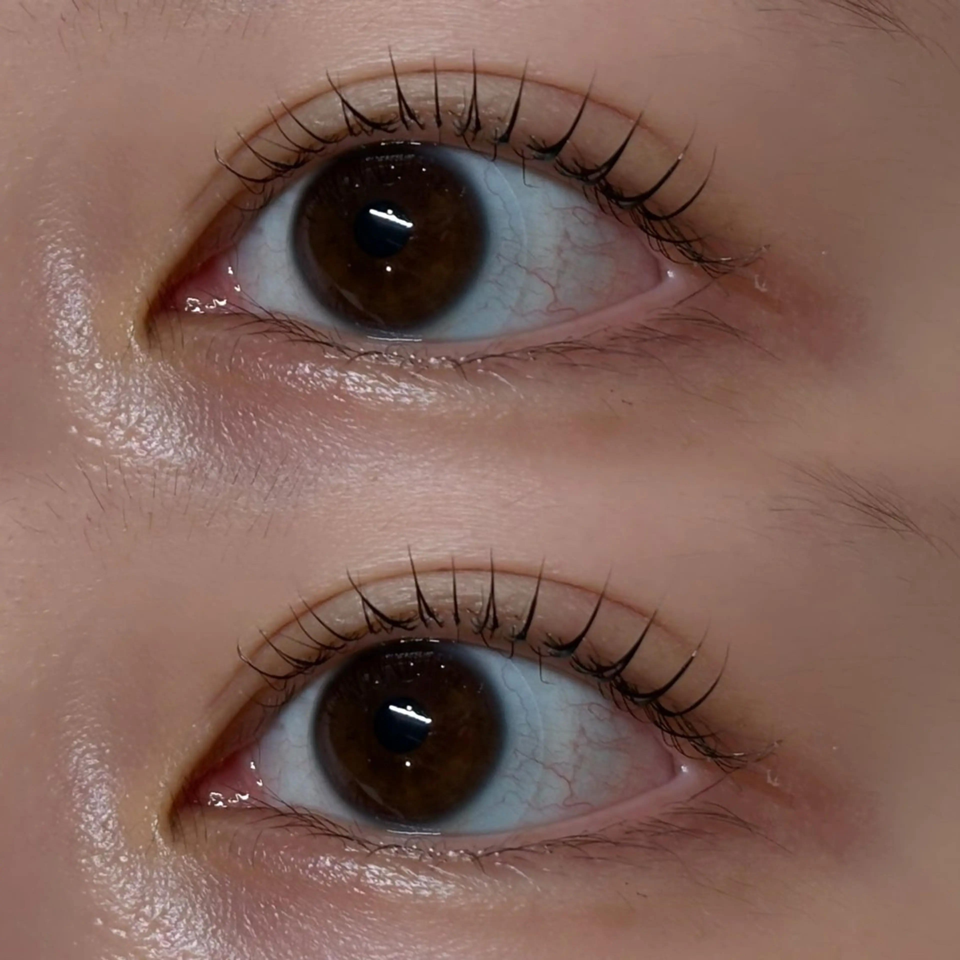 マツエク・マツパ アンドヘルシー/束感 /LED🩶MIYUのマツエク・マツパデザイン