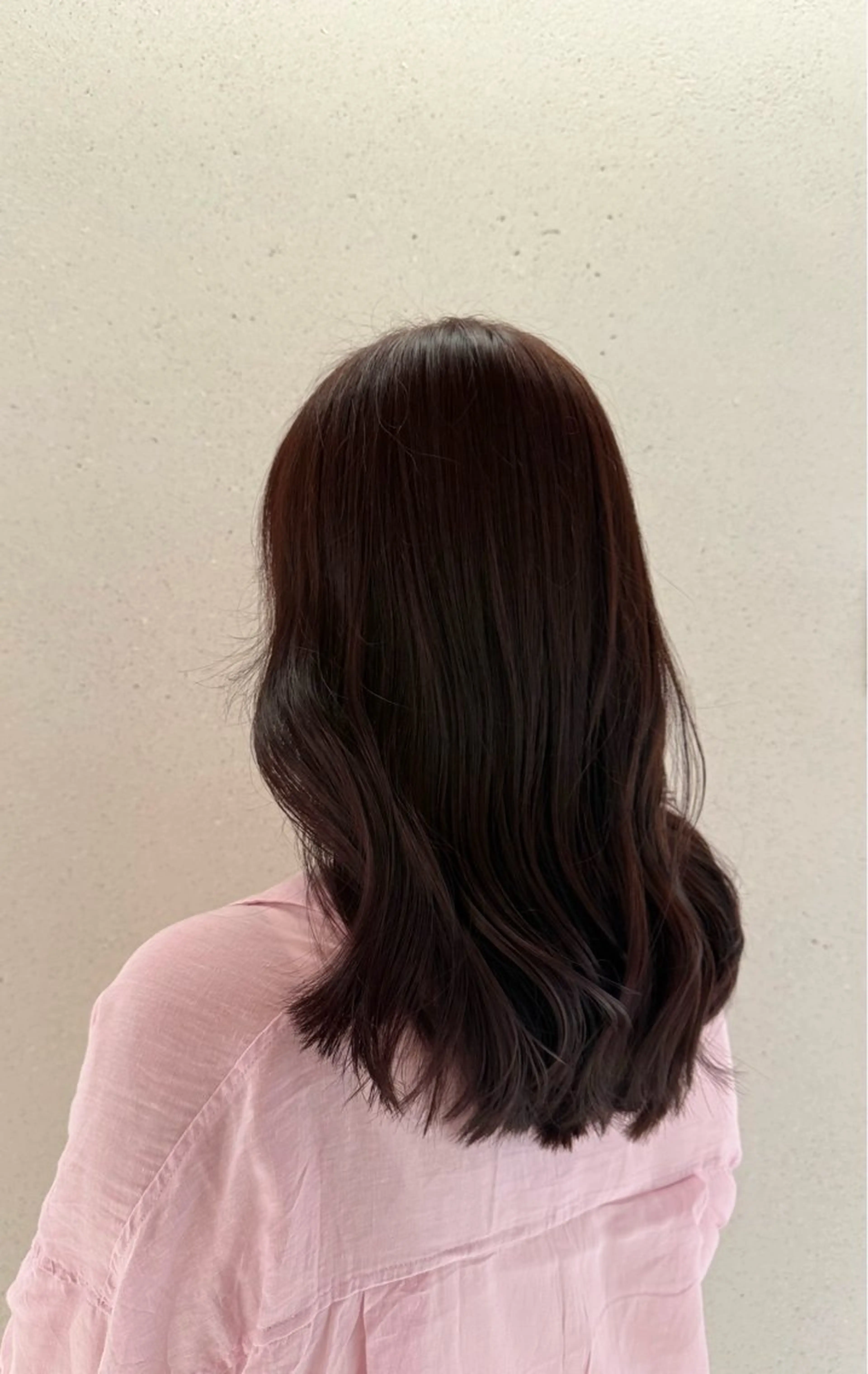 ワンカラーの写真