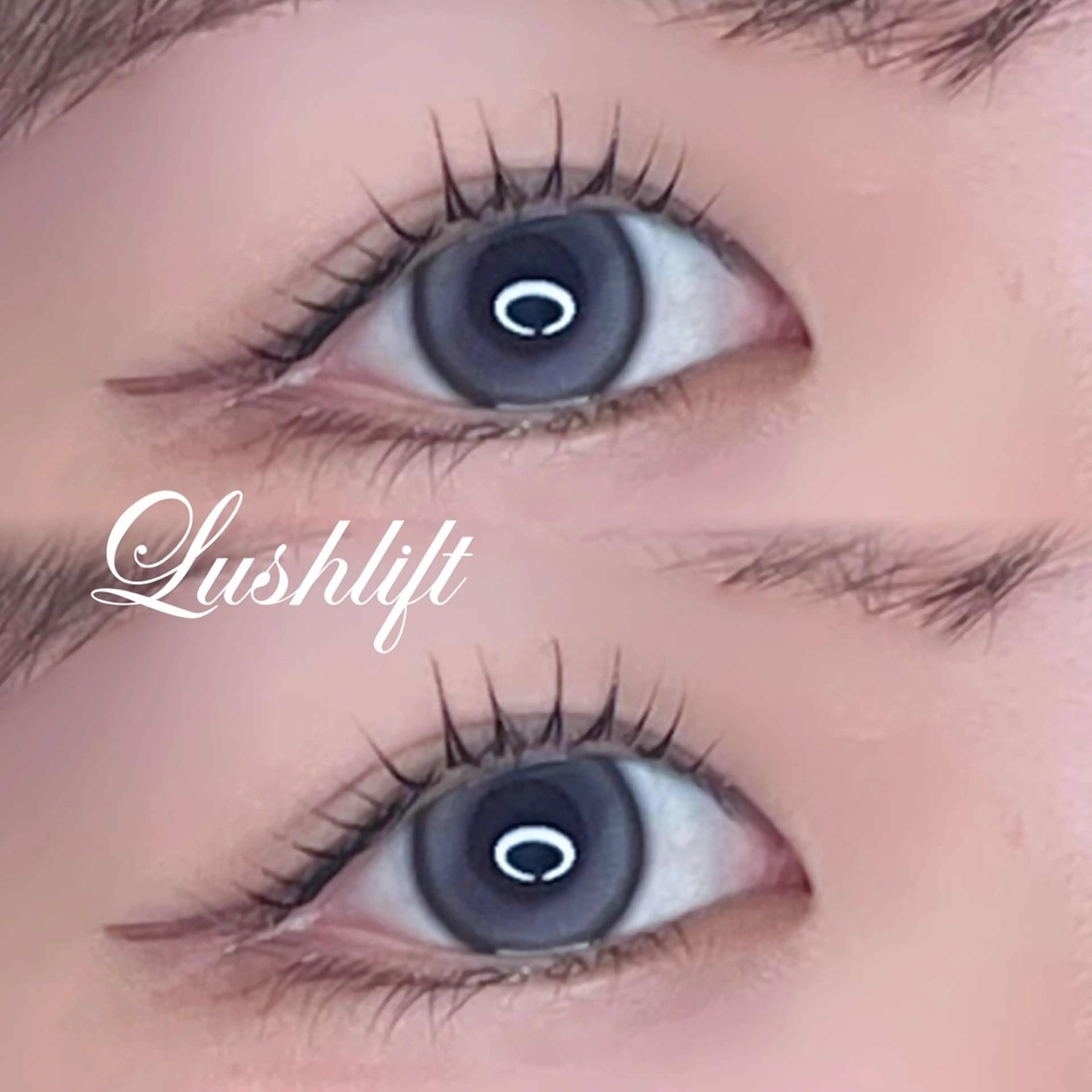 【4/20​〜​モデル募集🪷🫧】まつげパーマの写真