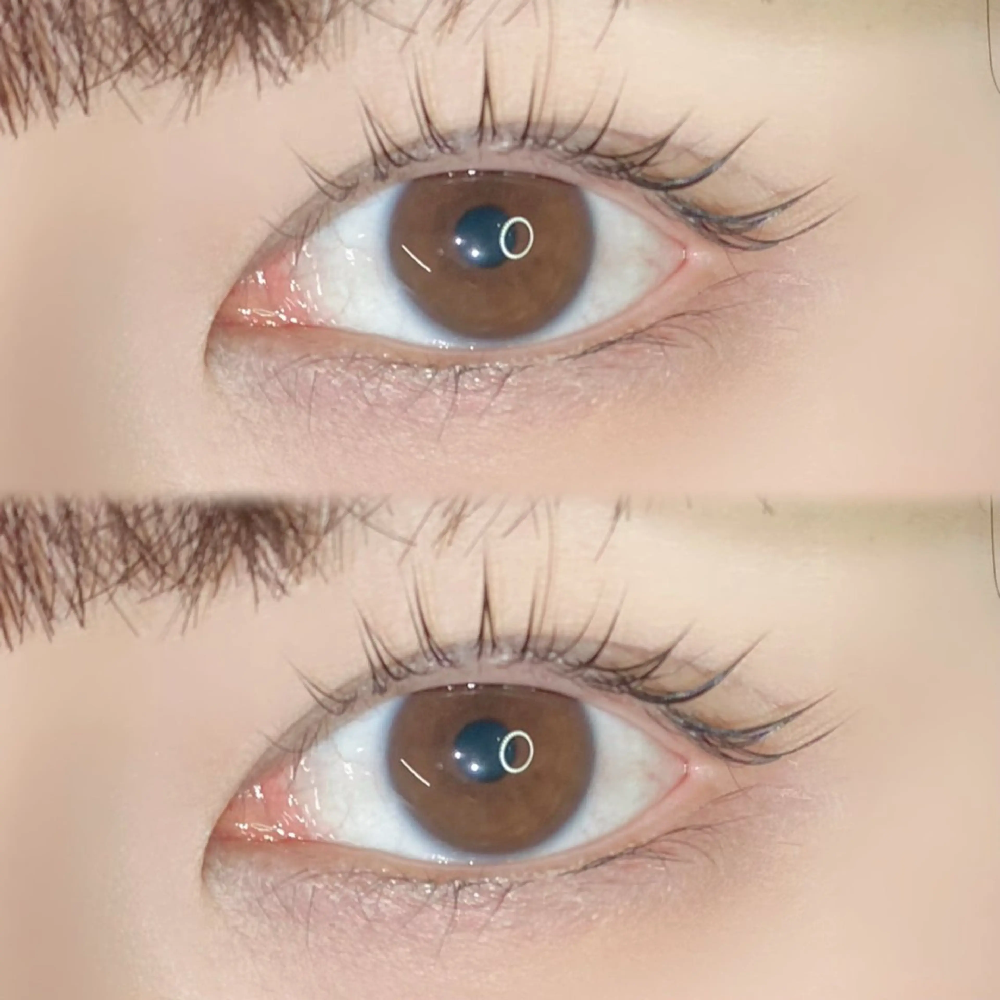 🍒当日予約限定🍒コーティング付きマツパの写真