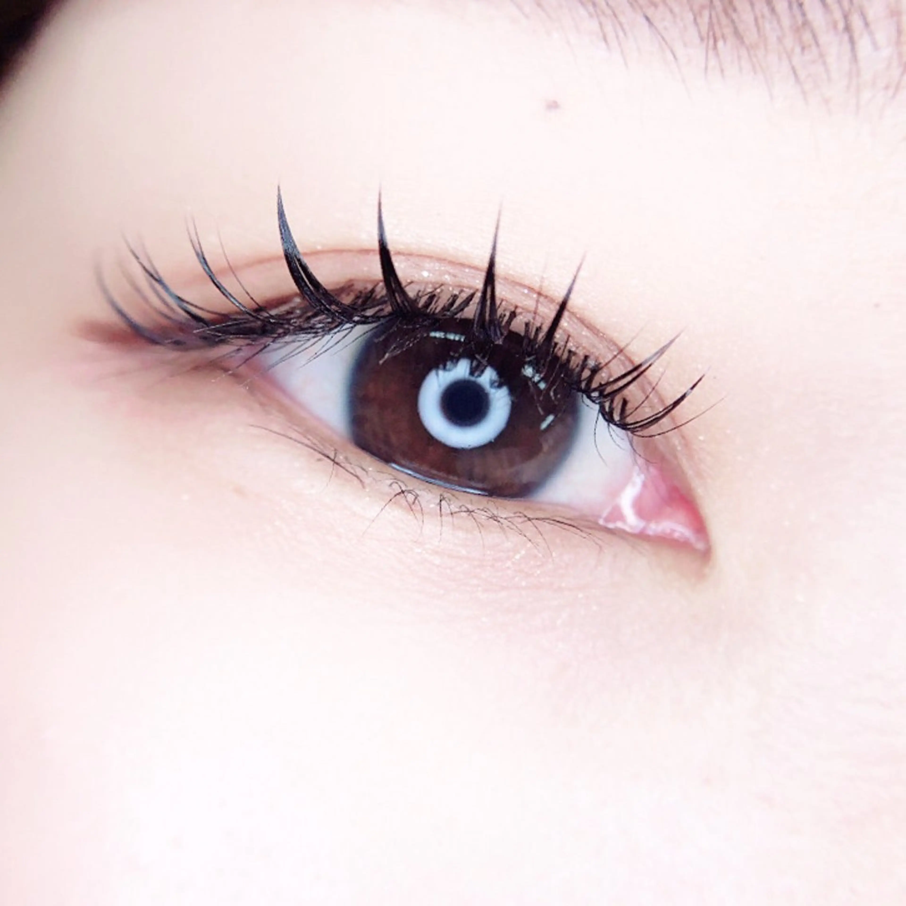 マツエク・マツパ マツエク MIGNON 冨田　当日予約のみのマツエク・マツパデザイン