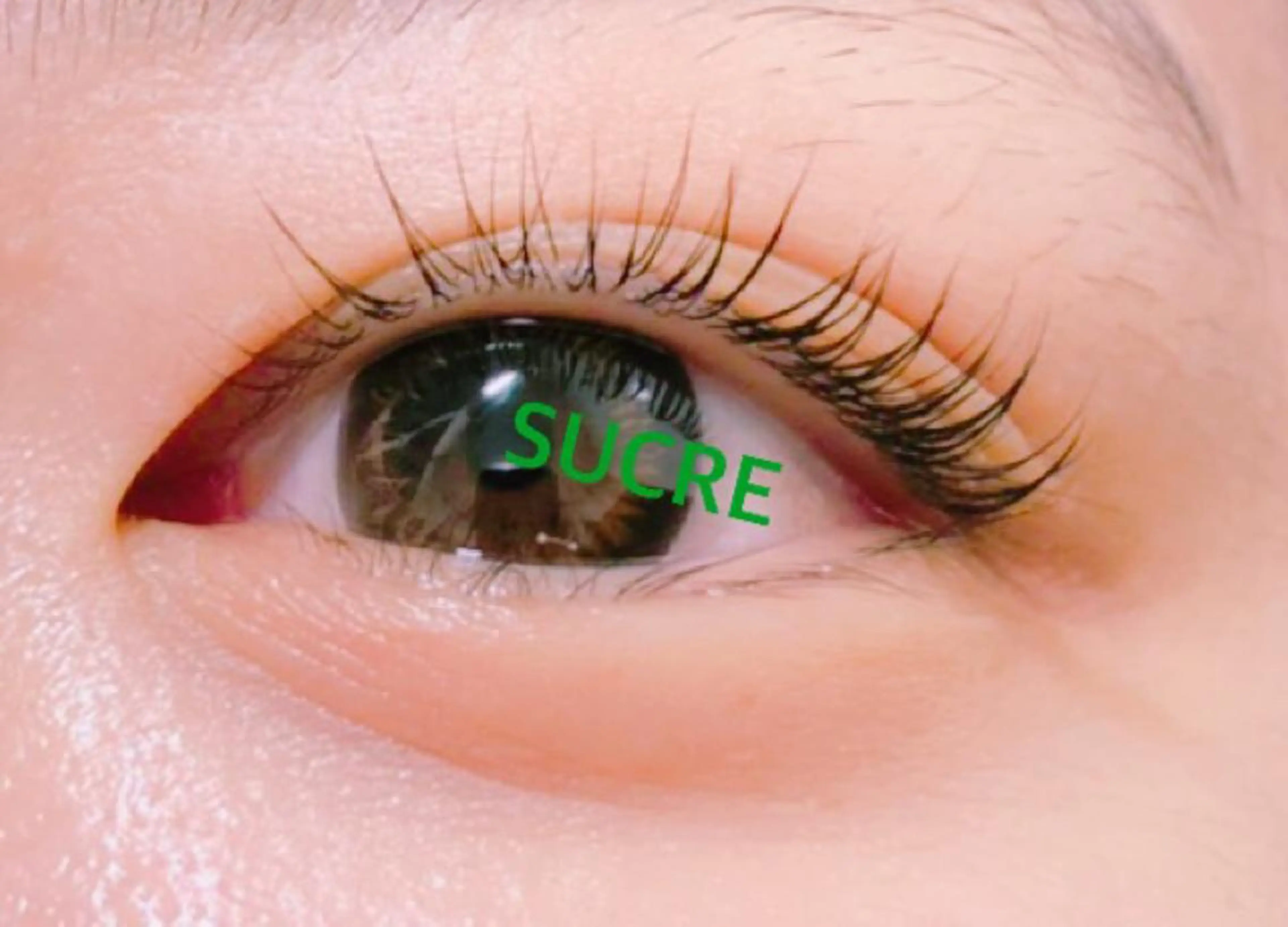 マツエク・マツパ Liz.&現ino 平田のマツエク・マツパデザイン