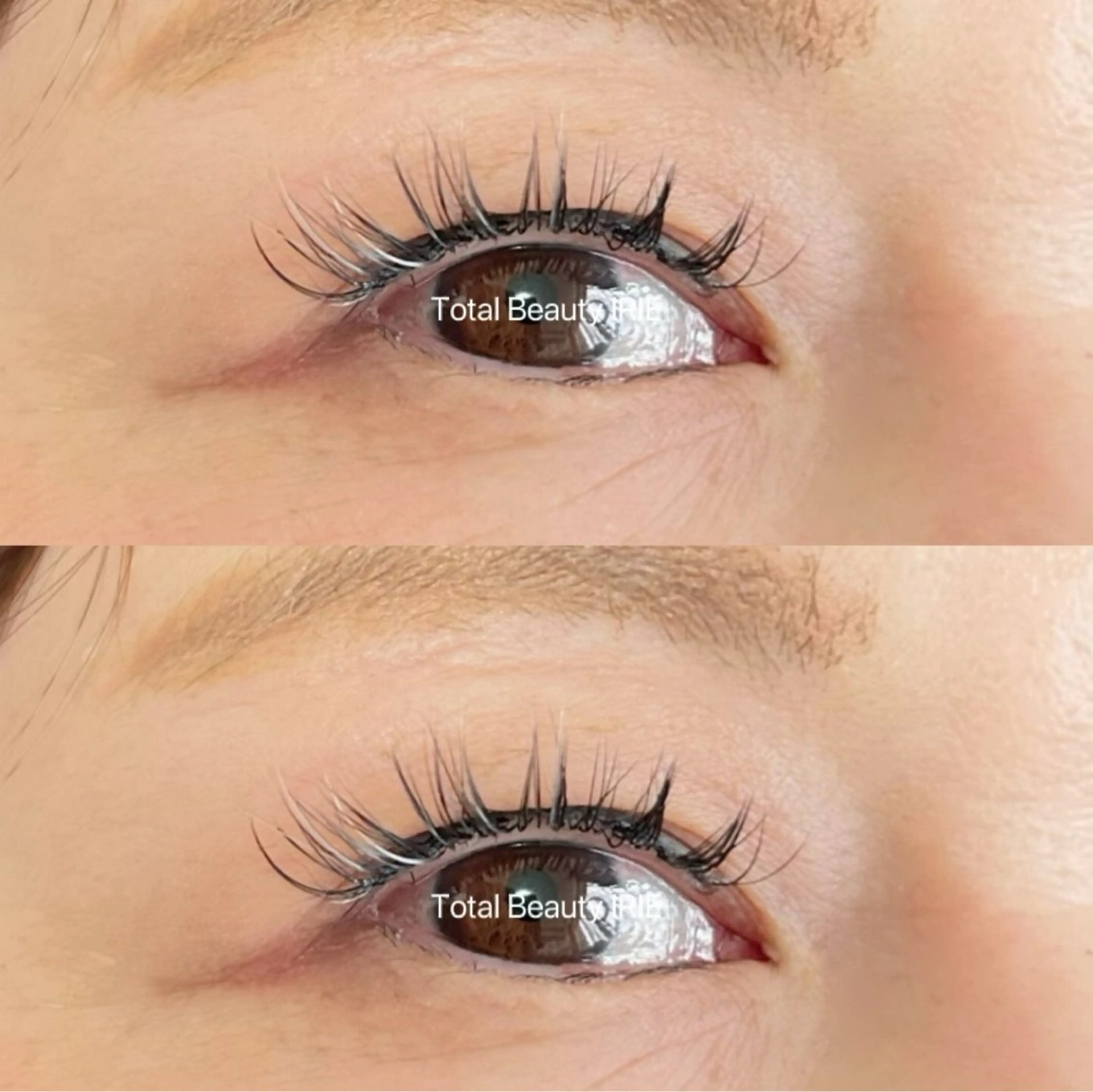 マツエク・マツパ マツエク トータルビューティー アイリーのマツエク・マツパデザイン