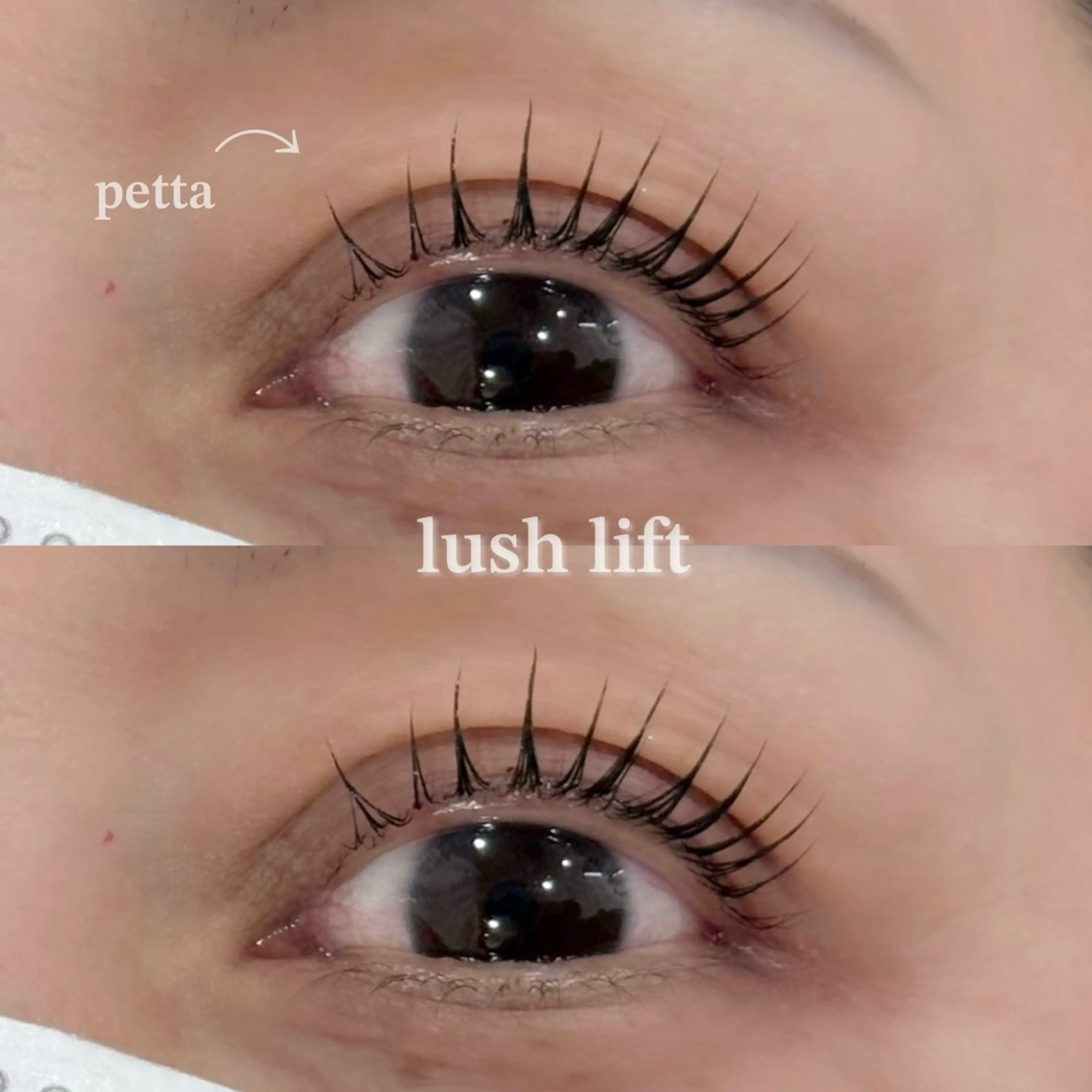 マツエク・マツパ EYELA uenoのマツエク・マツパデザイン