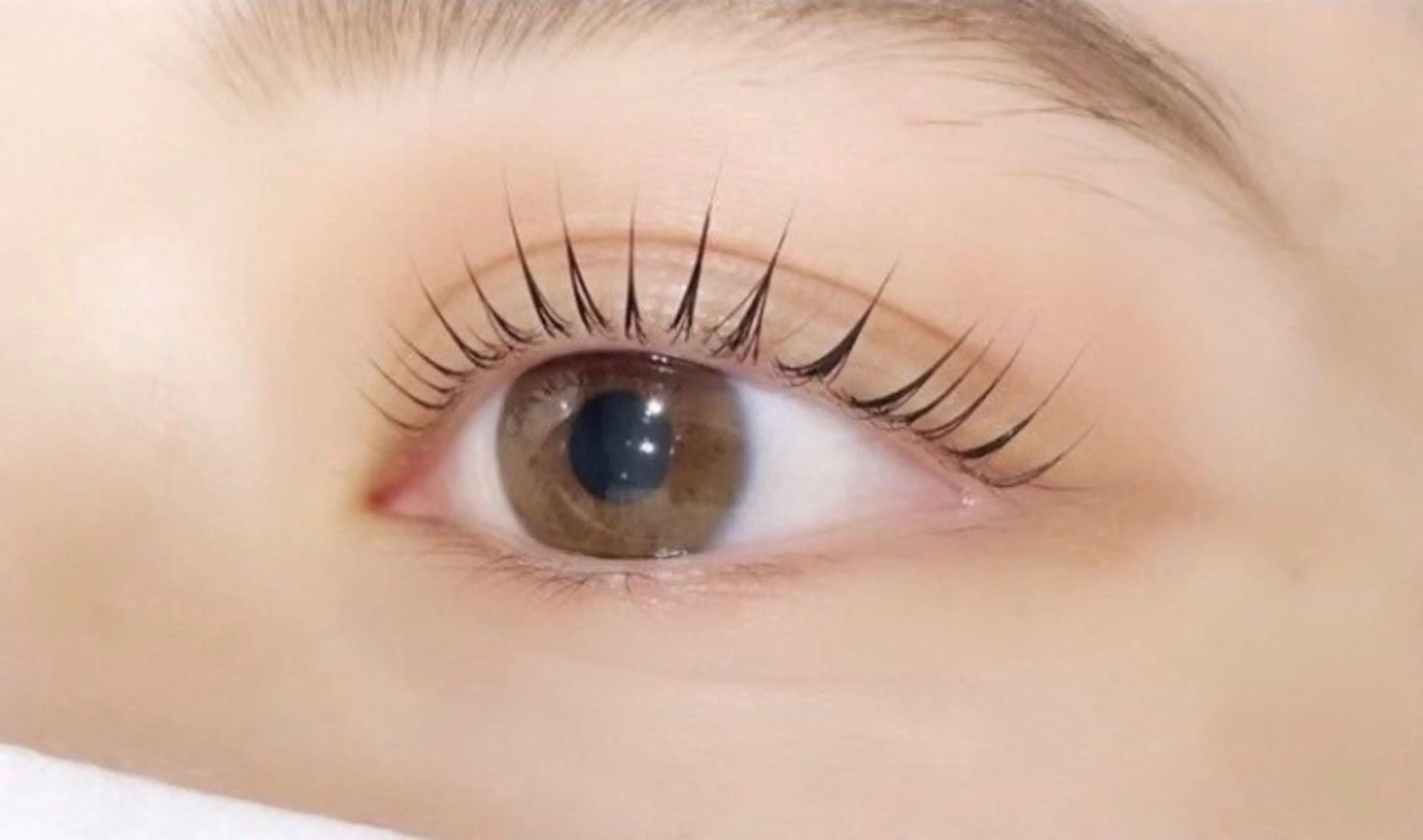 マツエク・マツパ My+ Lisa‎‪𓍯 ‬のマツエク・マツパデザイン