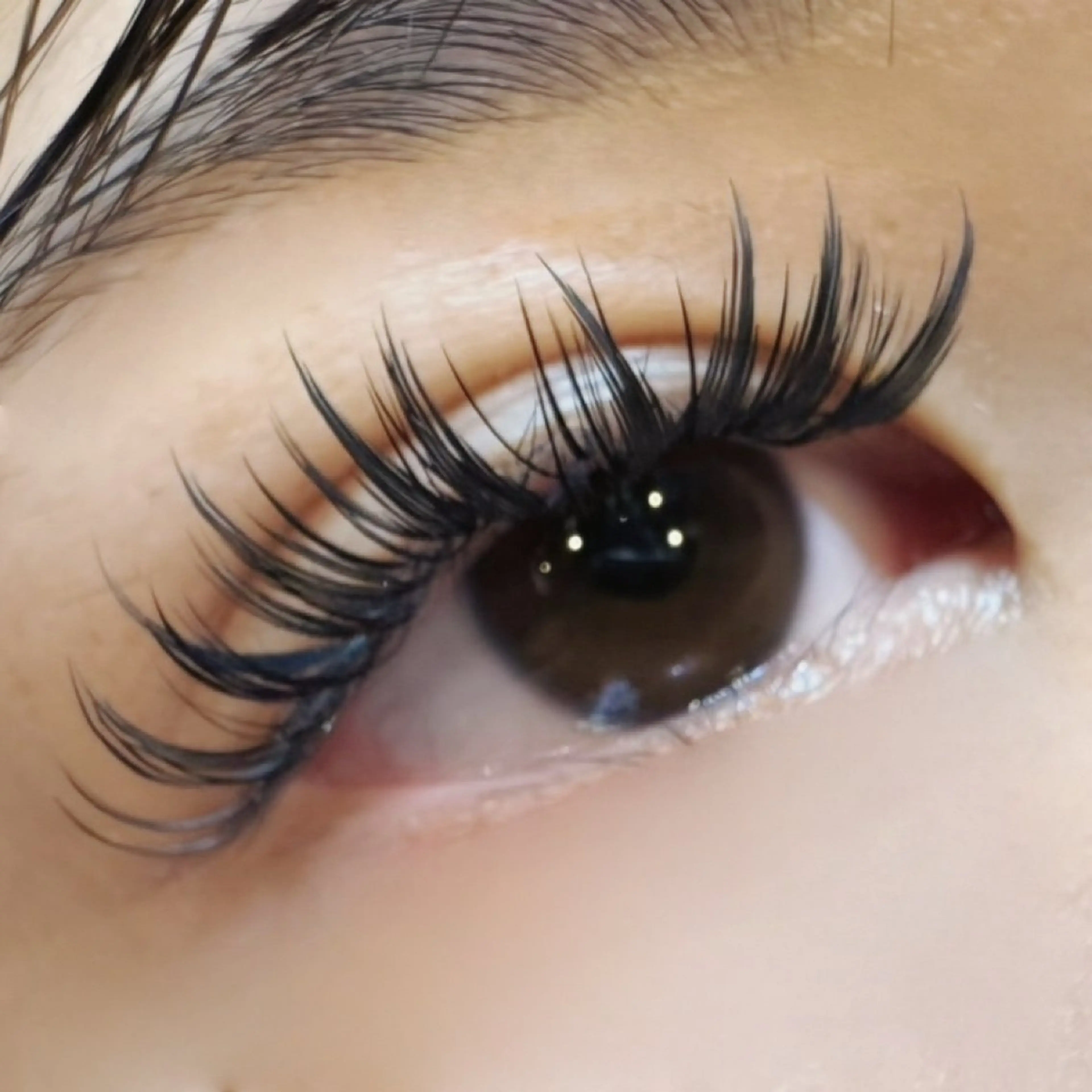 【羽マツエク＋ボリュームラッシュ】の写真