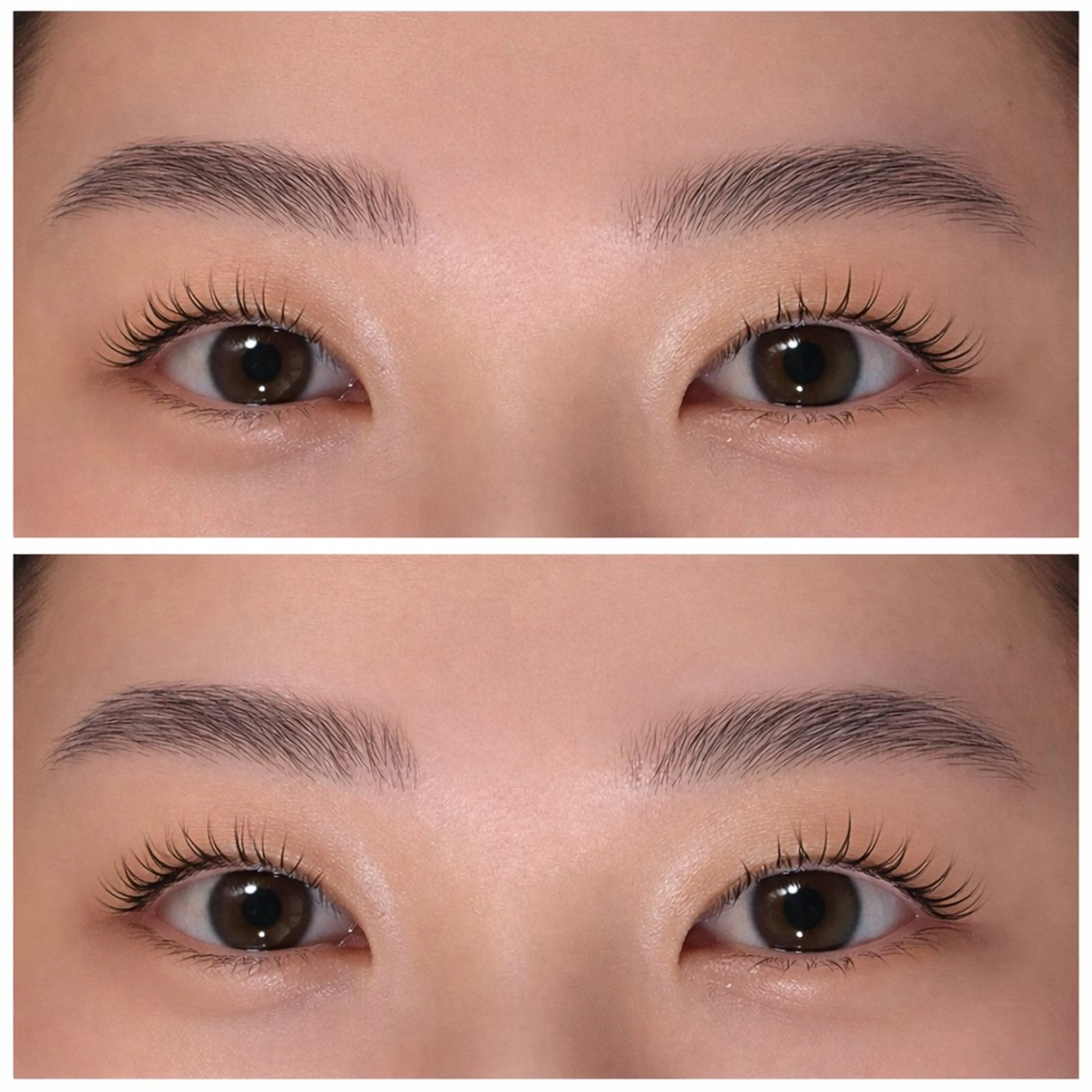 まつげパーマ(上のみ)➕アイブロウWAX👀🍃の写真