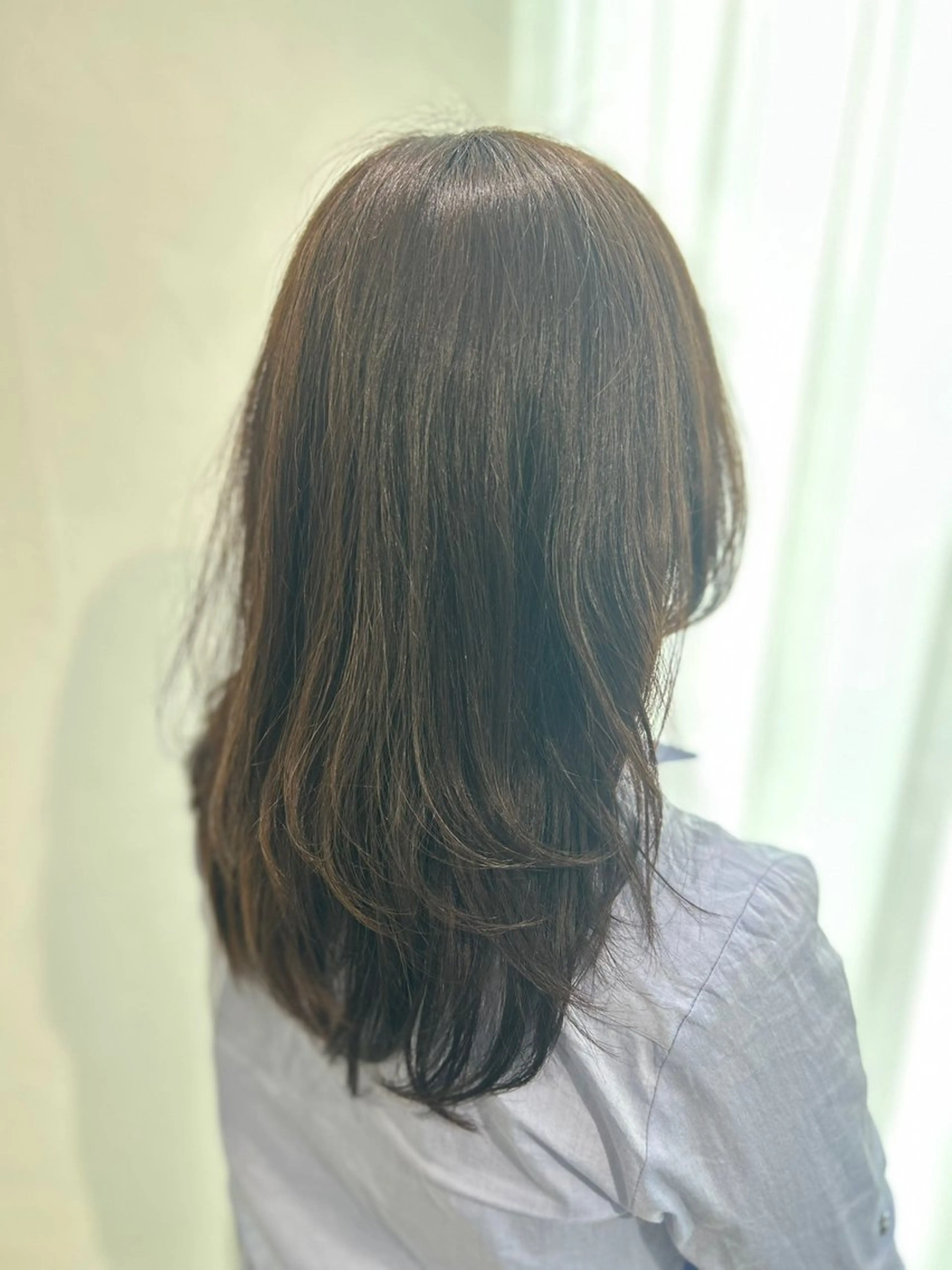無料ワンカラーモデルの写真