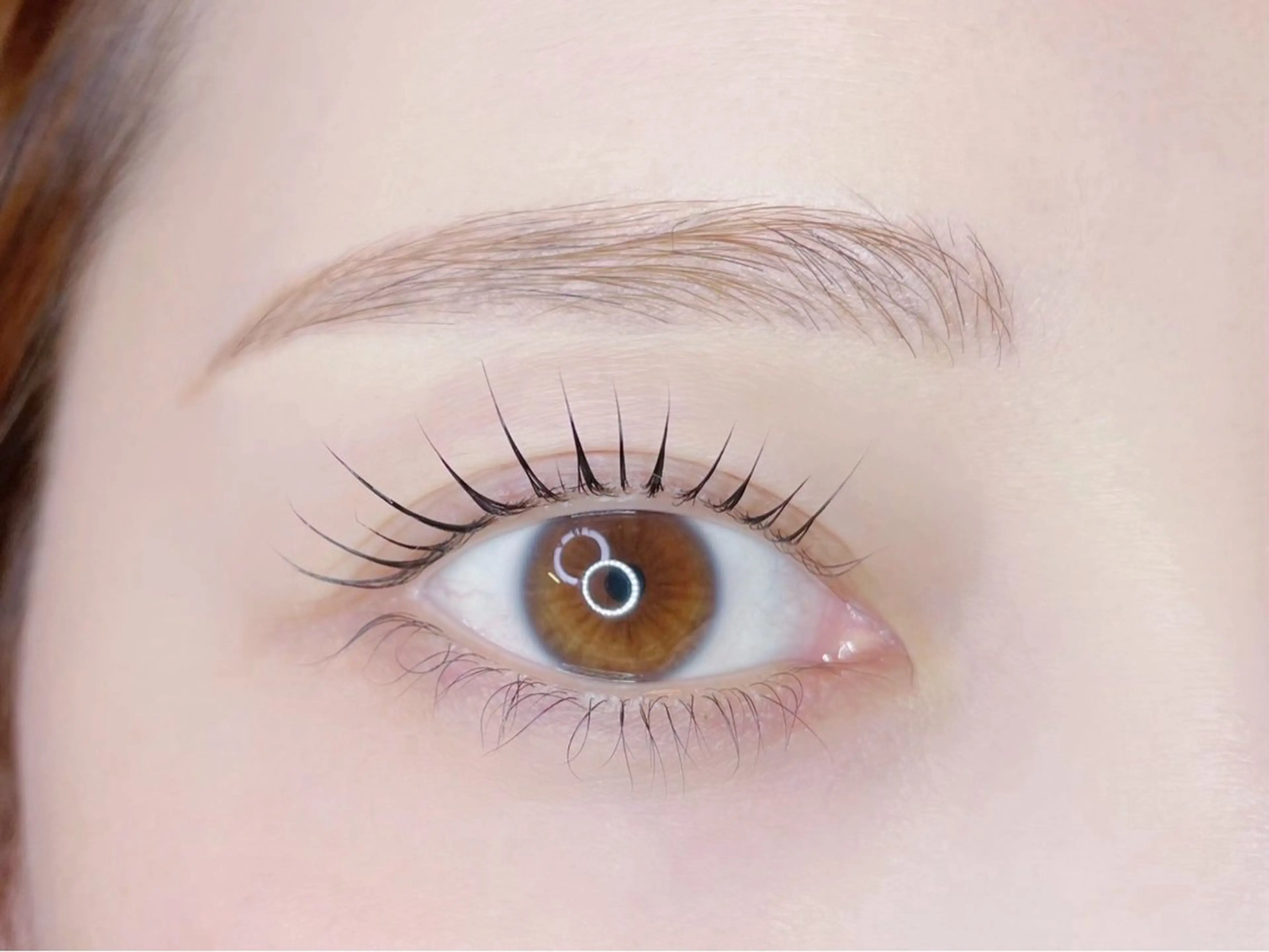 🍑💓大人気!まつ毛パーマ(アイシャンプー🫧トリートメント付き)【新宿御苑前】 💓🍑の写真