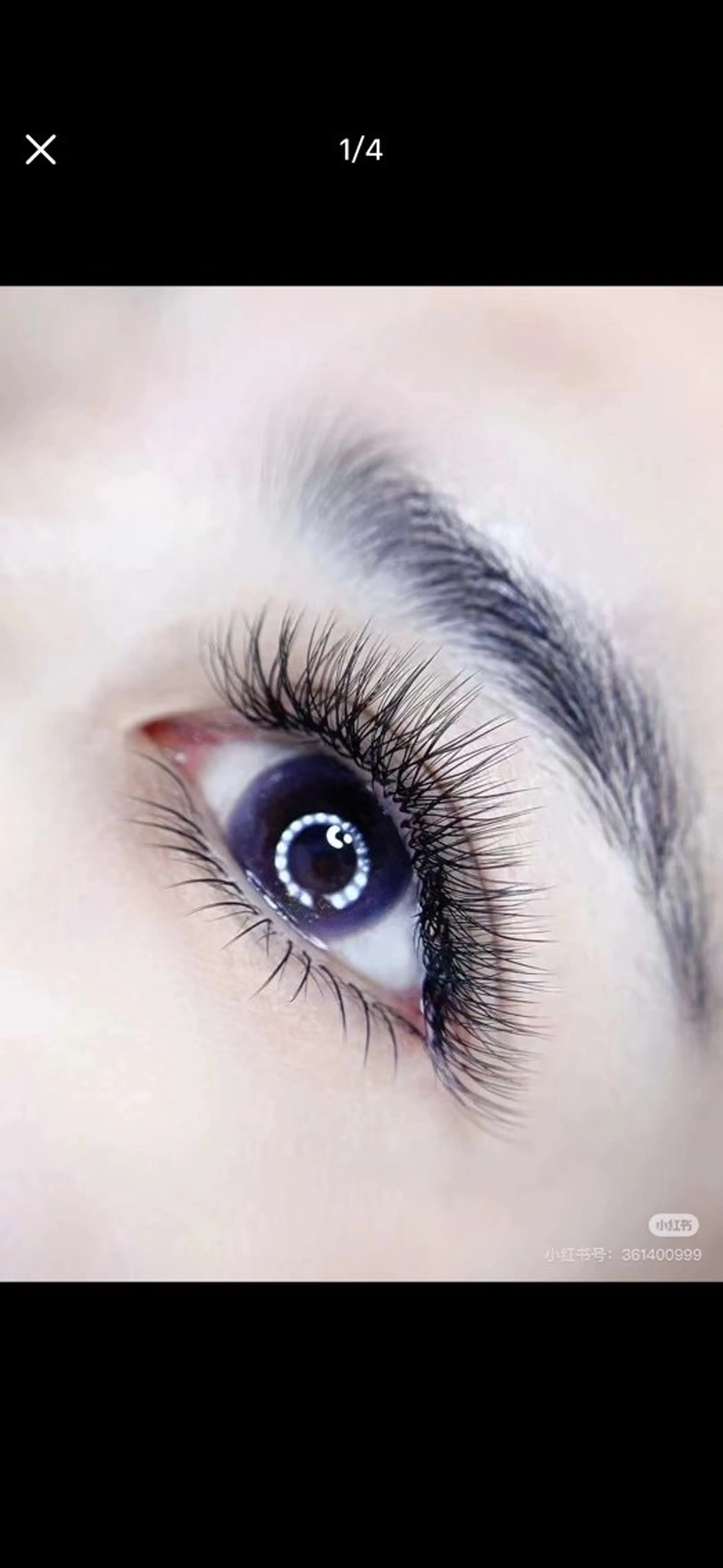 四つ葉ラッシュ100束LED無料の写真