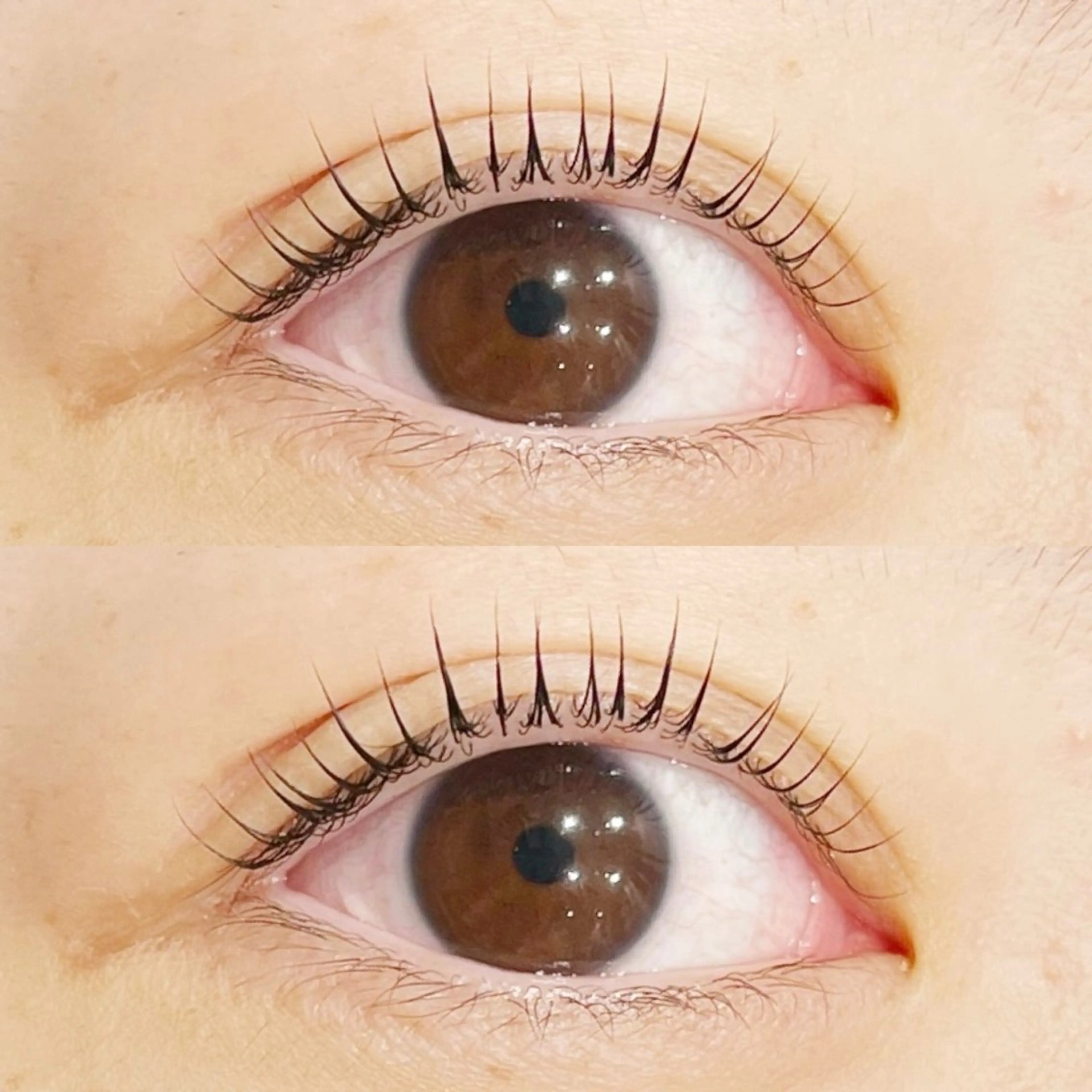 【学割】かわいらしいお目元に♪まつ毛パーマ上のみの写真