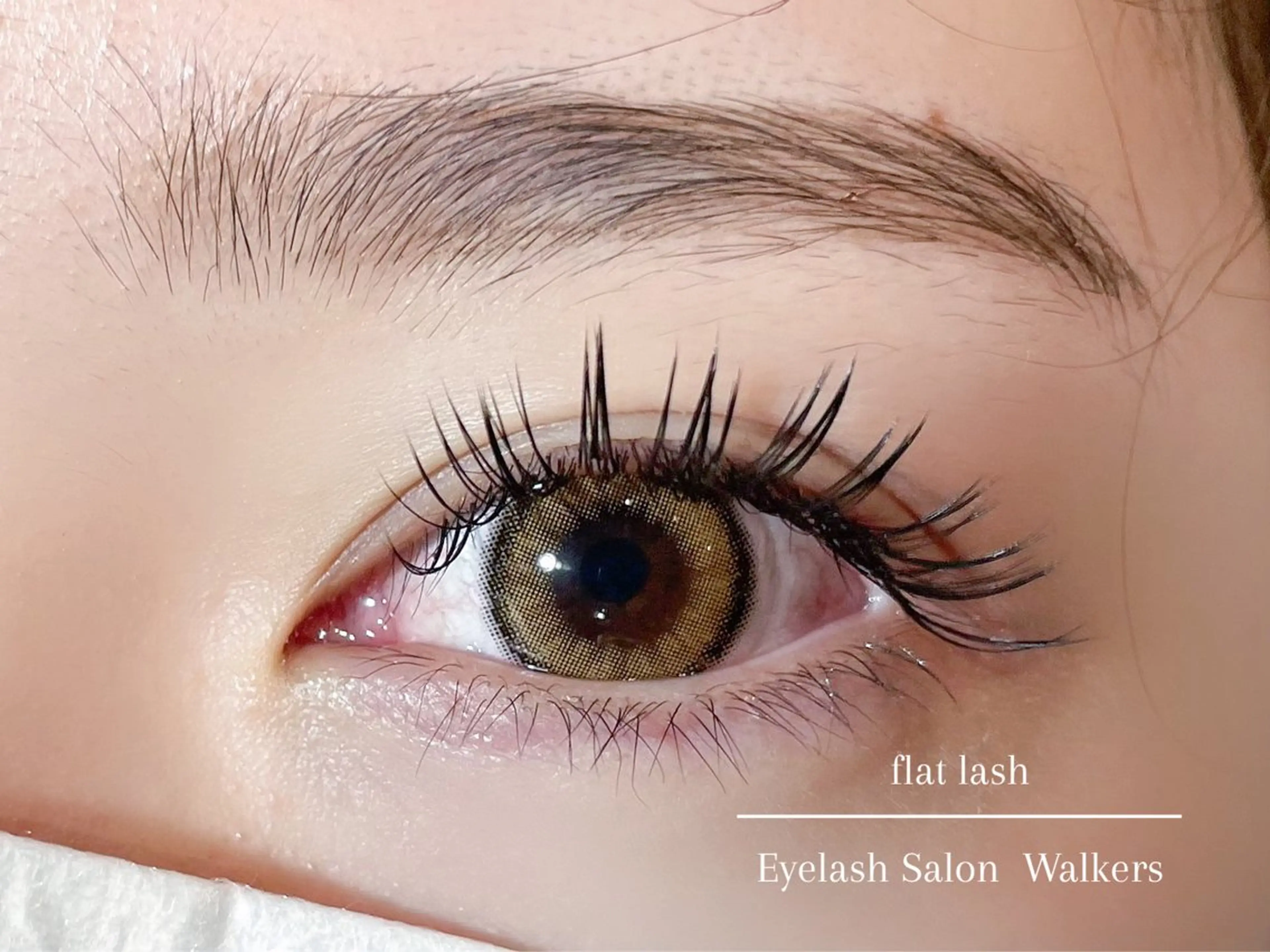 🥀フラットラッシュ 140本🌟の写真