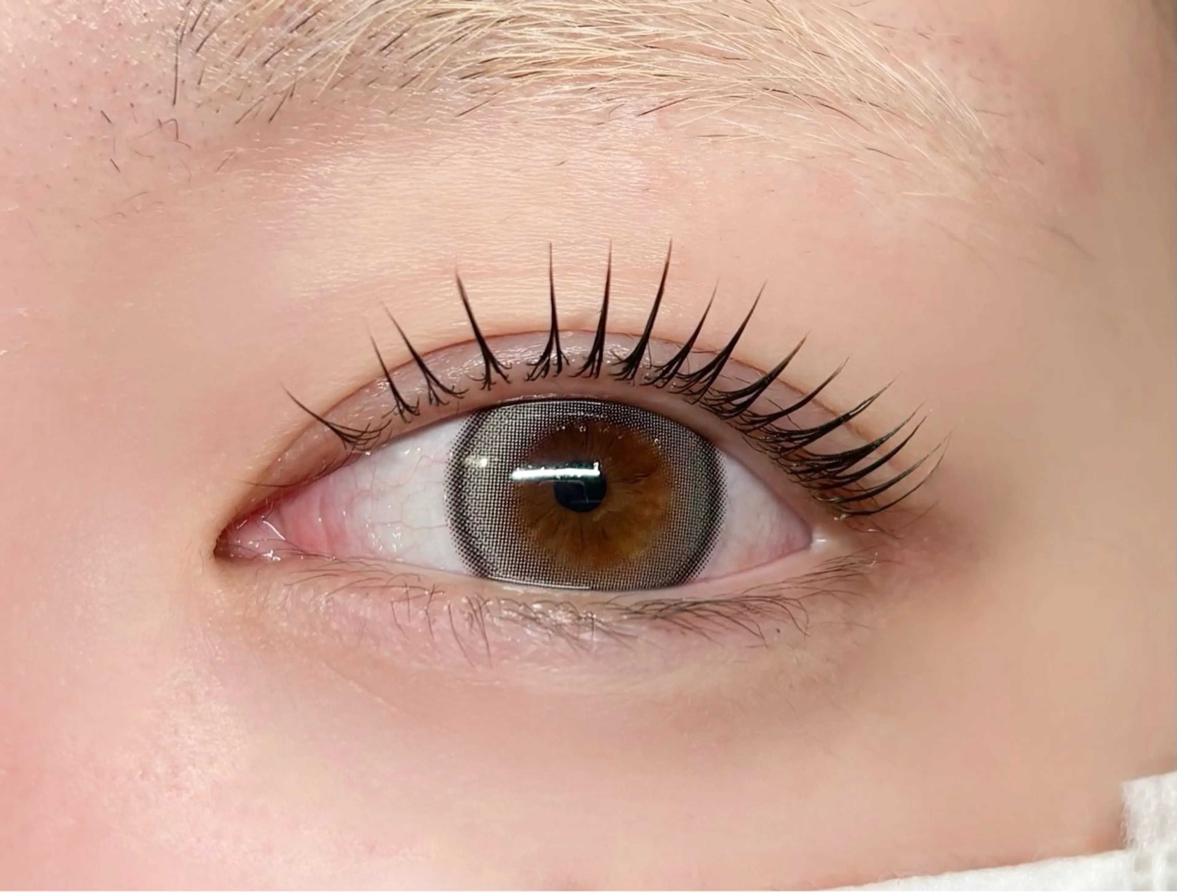 マツエク・マツパ マツパ Lino中目黒 /ちば ゆず🧸のマツエク・マツパデザイン