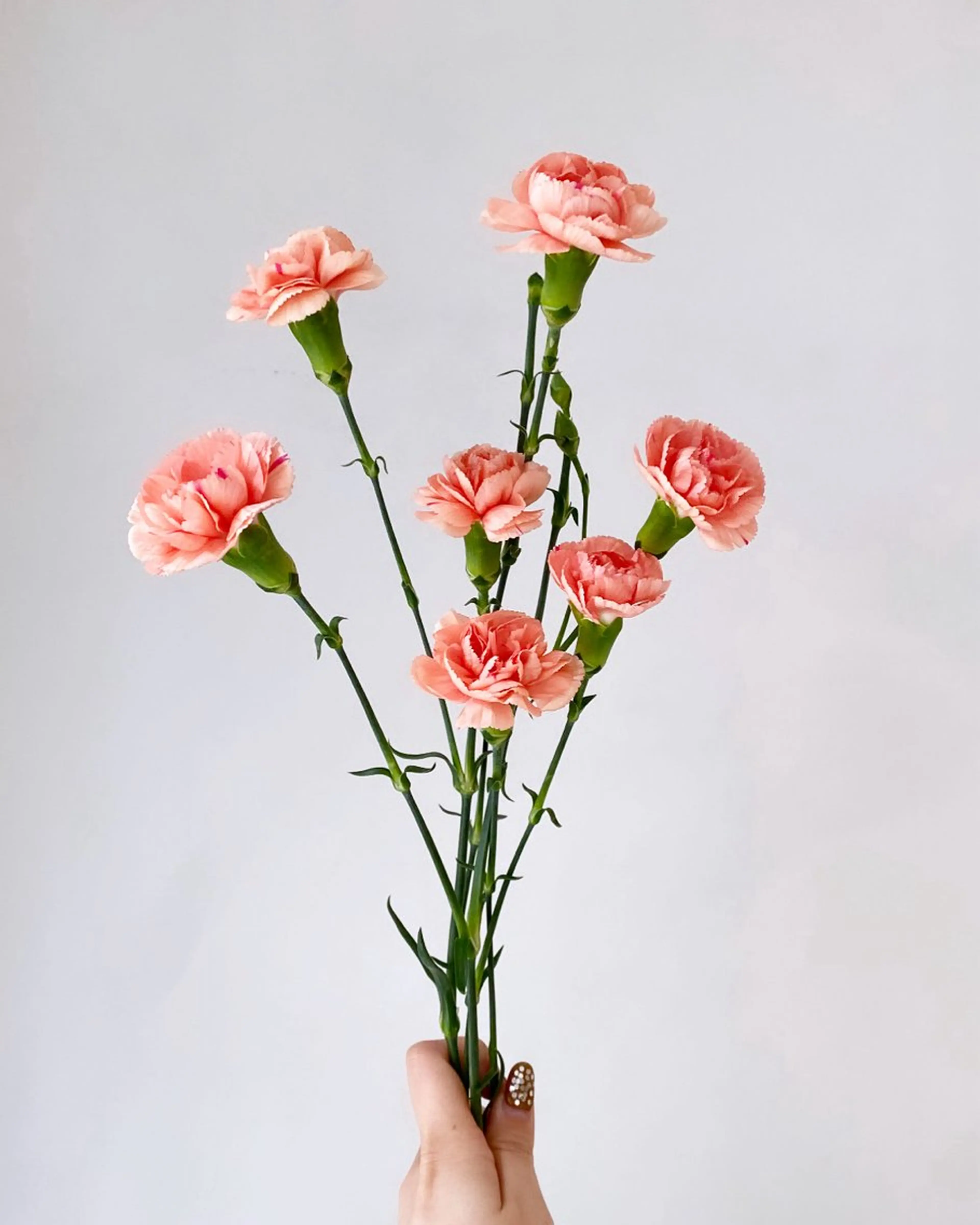 カット ヘアカラー トリートメント 🪻花屋併設🪻秀島 有紀のヘアスタイル