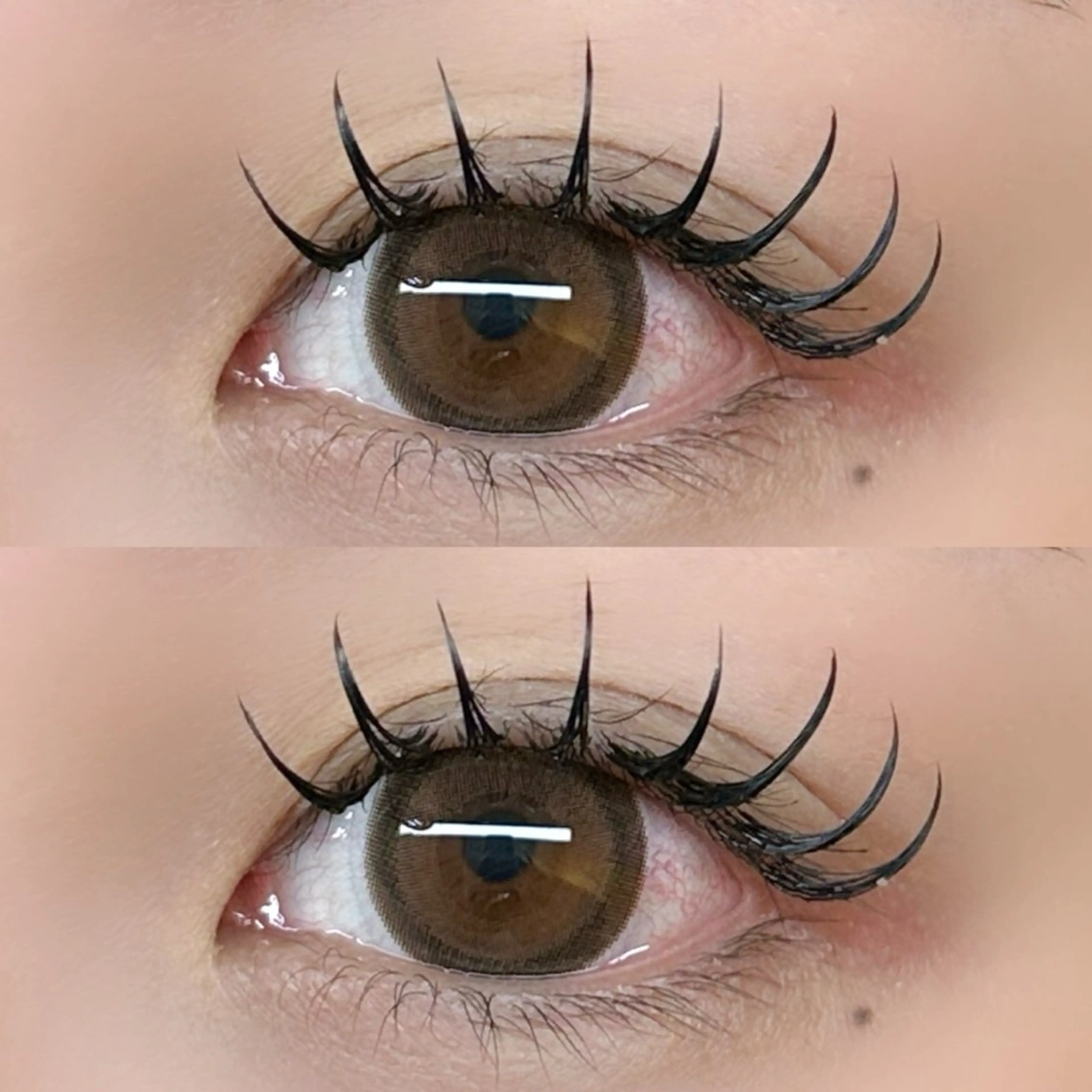 【持続力UP⤴️】🌺LEDバインドロック 80束🌺の写真