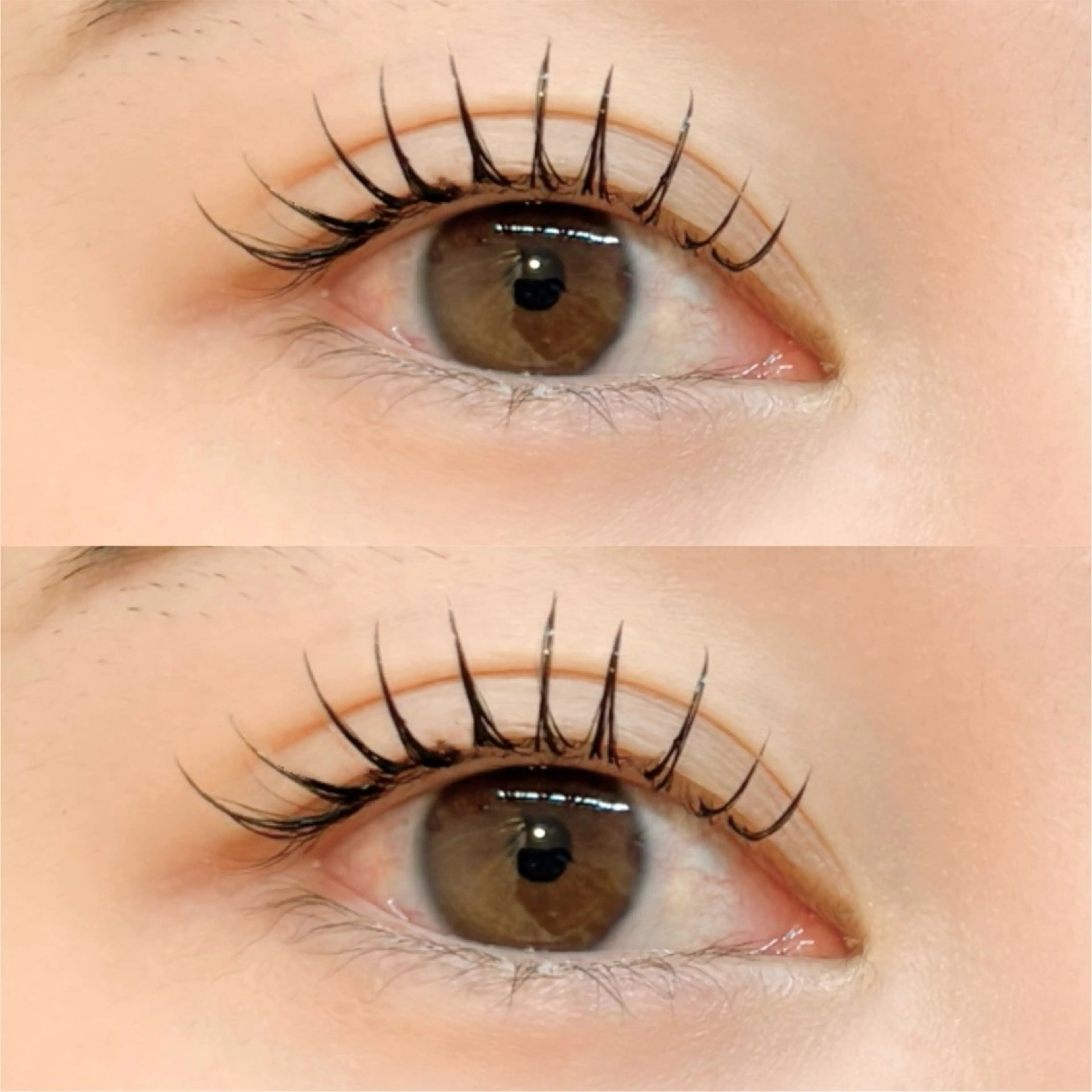 【🌿パリエク🌿】パリジェンヌ×フラットラッシュ　120本👀の写真