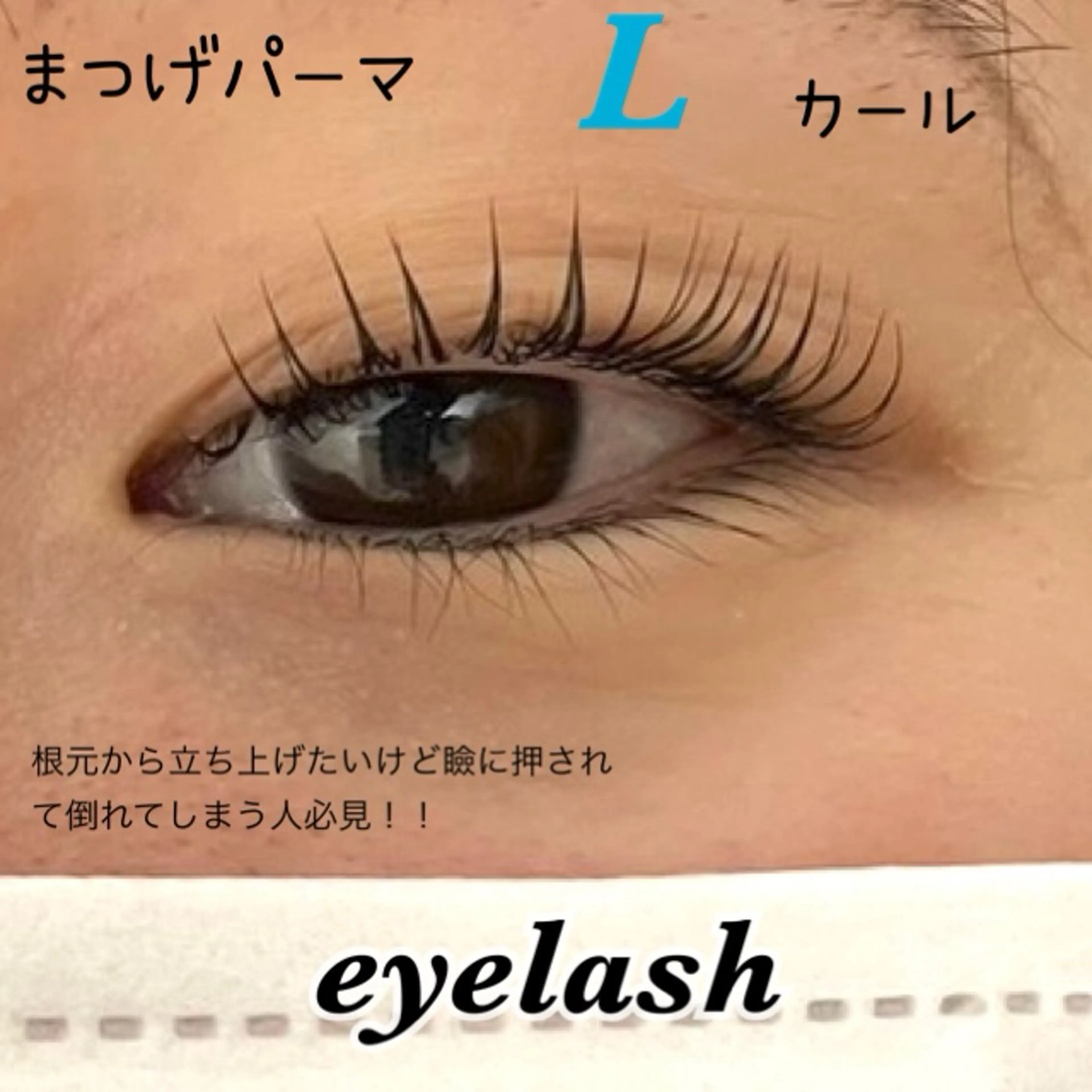 マツエク・マツパ Lカール まつげパーマ マツパ 🌺KOKOA🌺 merci横浜のマツエク・マツパデザイン