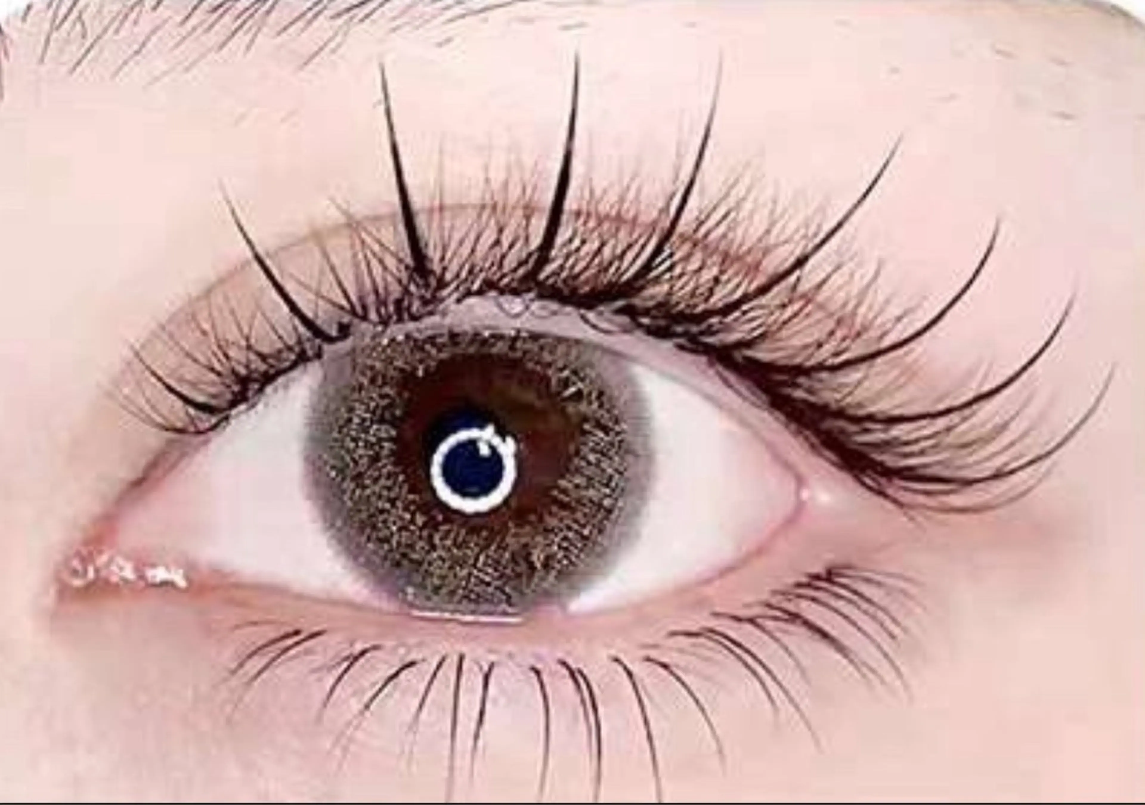 【限定デザイン】惹きつける目元になる🔥フラットラッシュ120本¥6480⚠️予約の際に必ず補足説明をご覧いただきますの写真