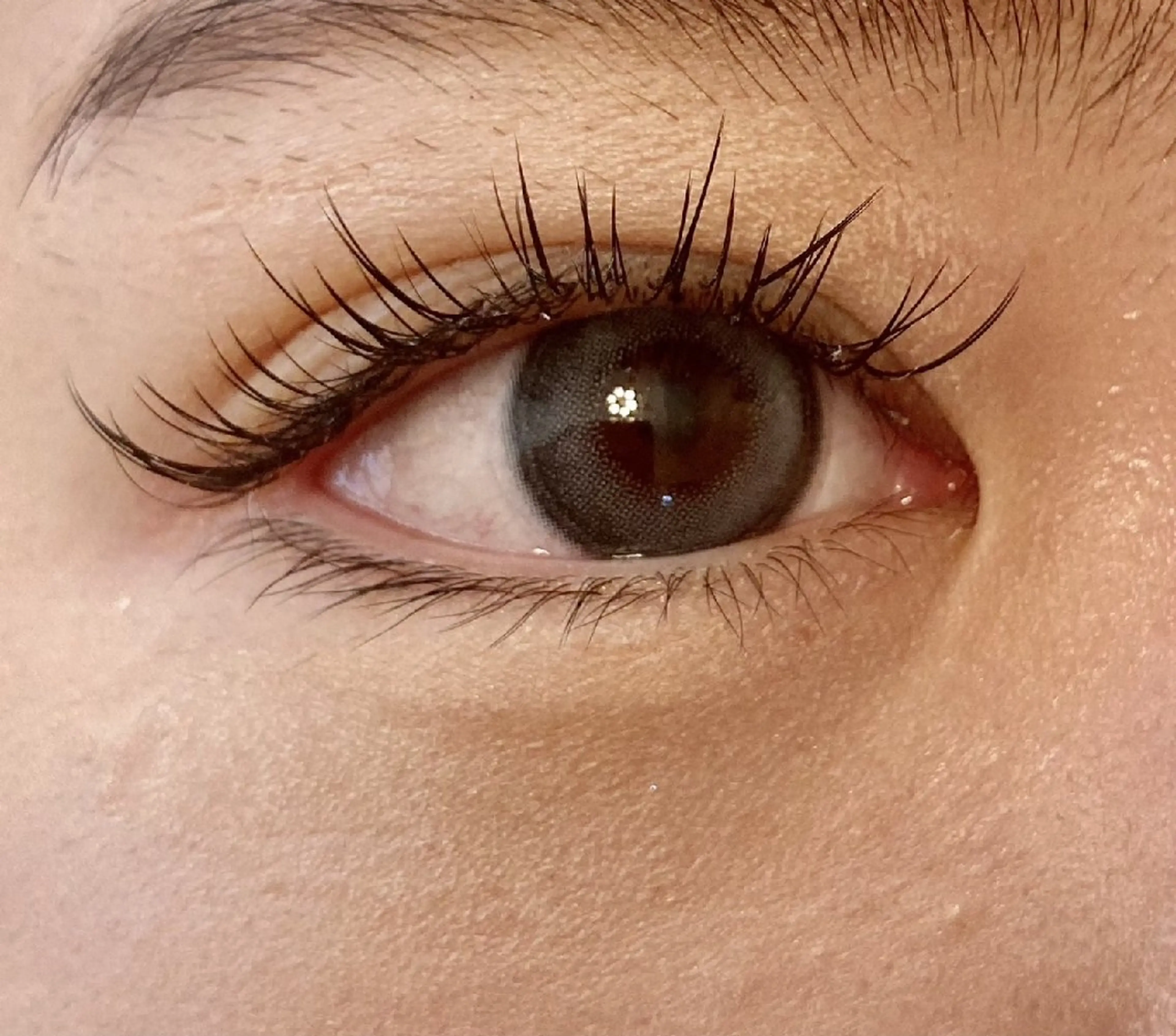 マツエク・マツパ ワンホンマツエク himawari Leiのマツエク・マツパデザイン