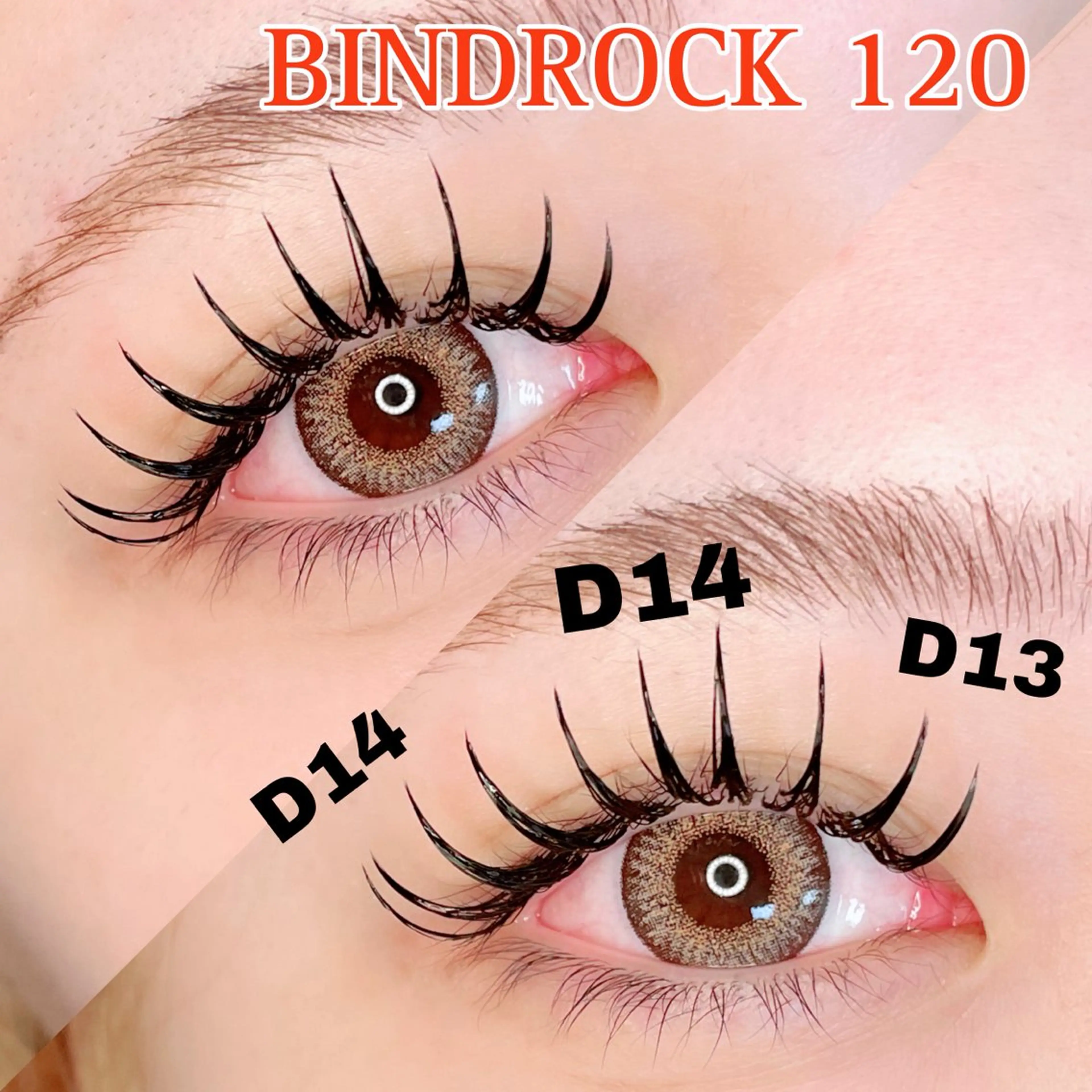 🦋バインドロック100束＋美眉スタイリング🦋 ［オフ/再来様＋500円］の写真