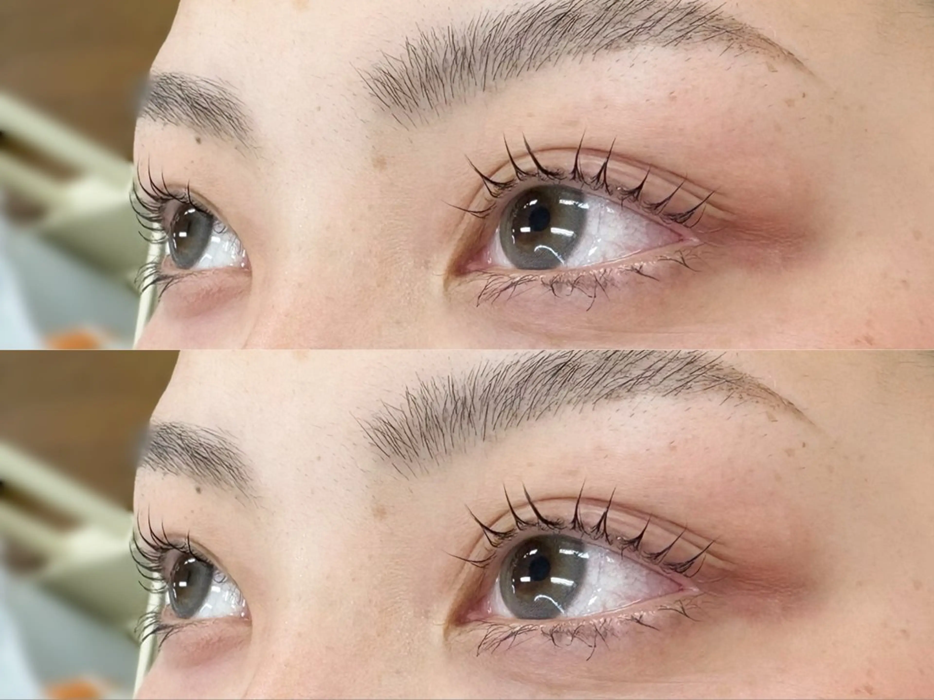 【お得なセット🍒】まつげパーマ+眉毛ワックスの写真