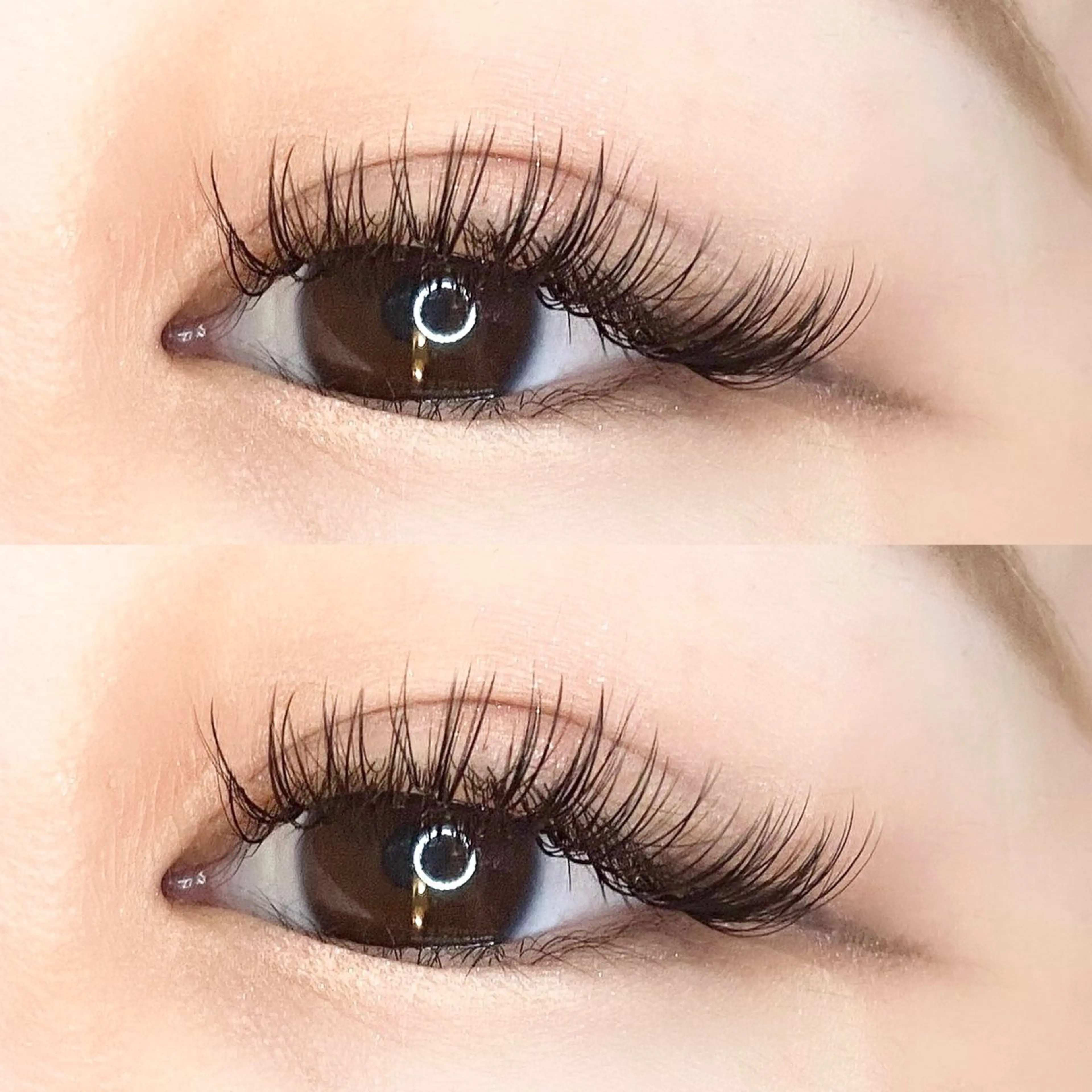 4月限定✨【バインドロック80束】ボリュームUP✨モチNo.1🩷の写真